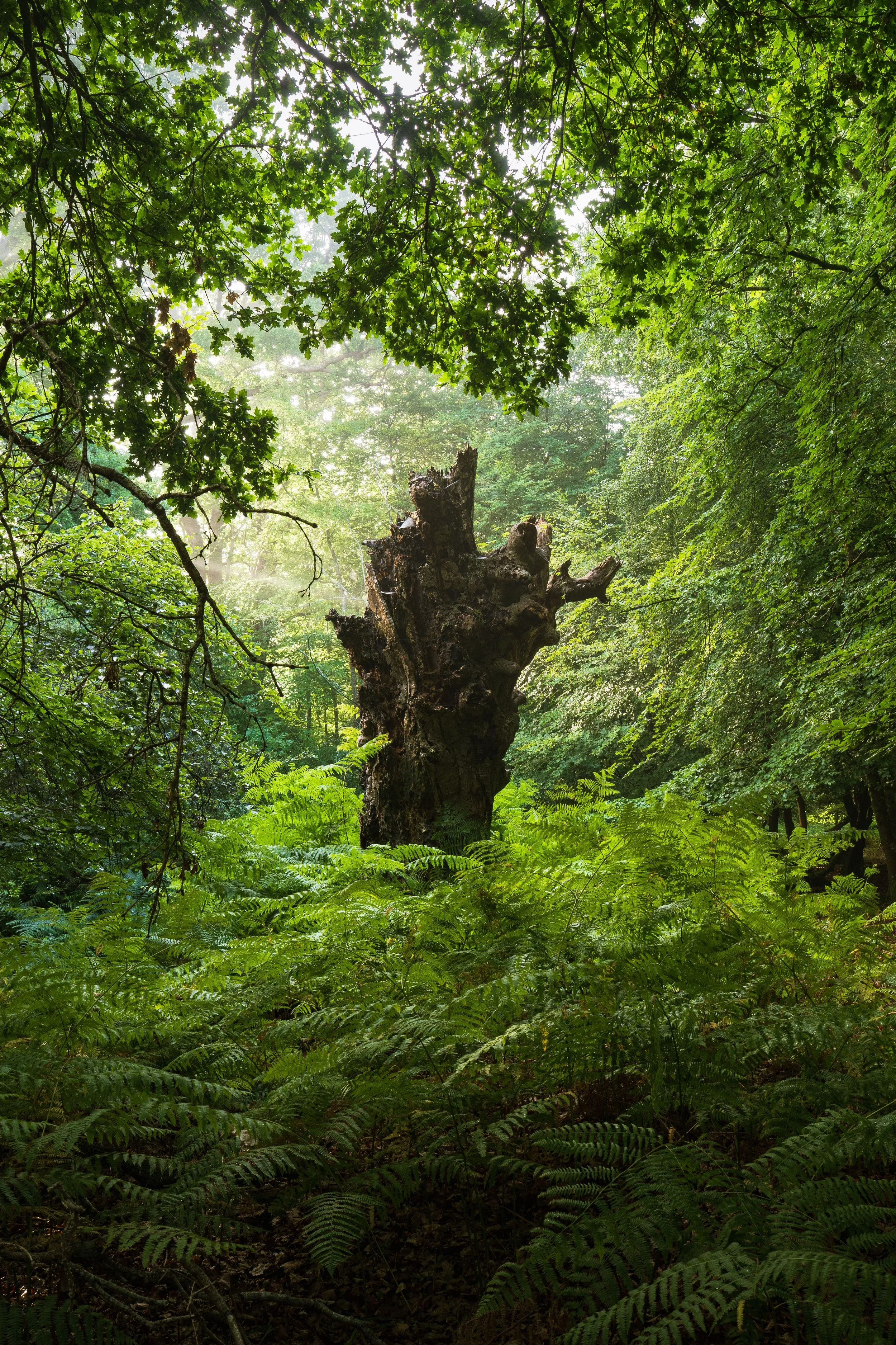 Portfolio Update -00537.jpg