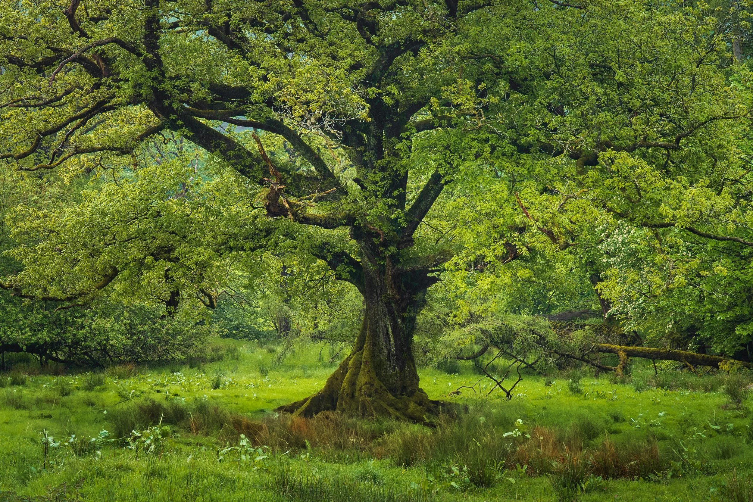 Portfolio Update -00752.jpg