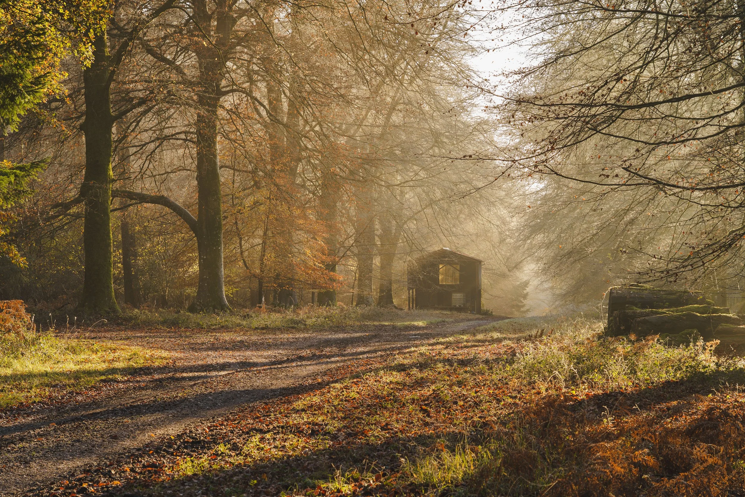 Portfolio Update -2.jpg