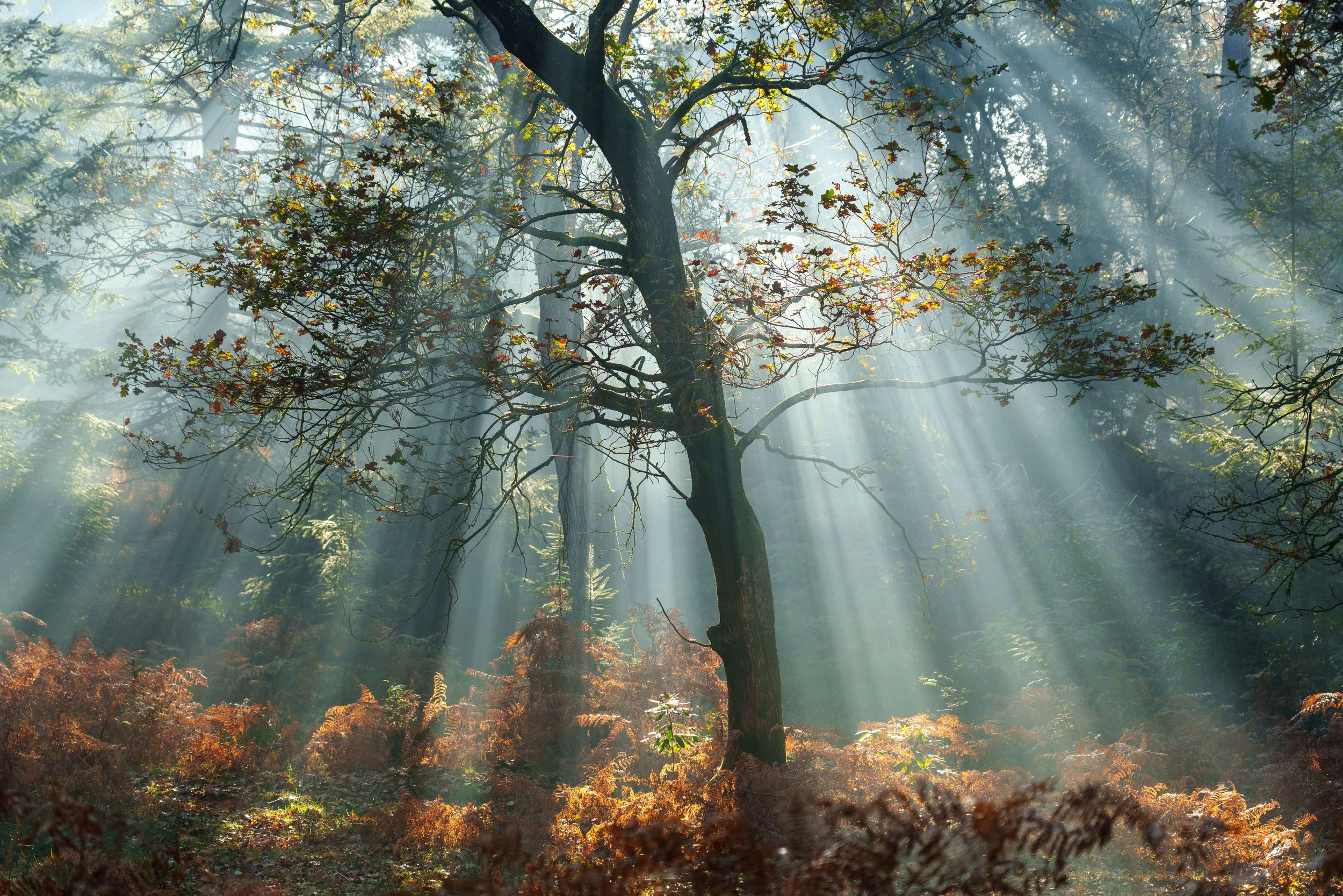 Portfolio Update -08885.jpg