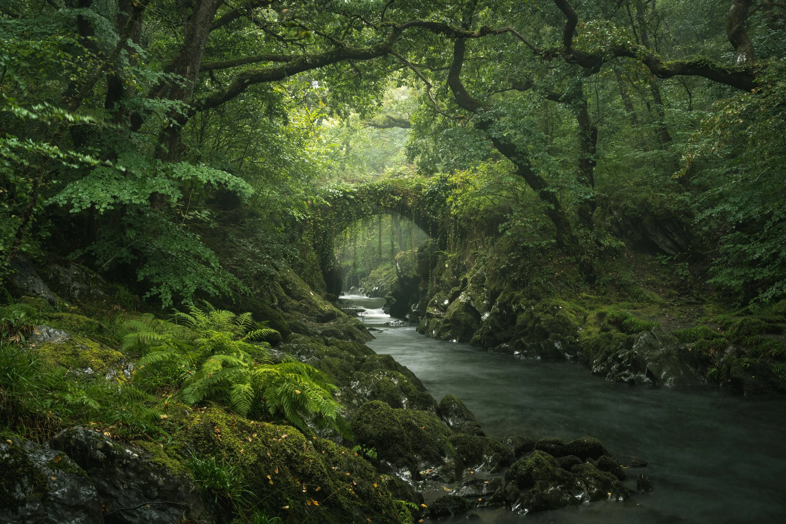 Portfolio Update -02979.jpg