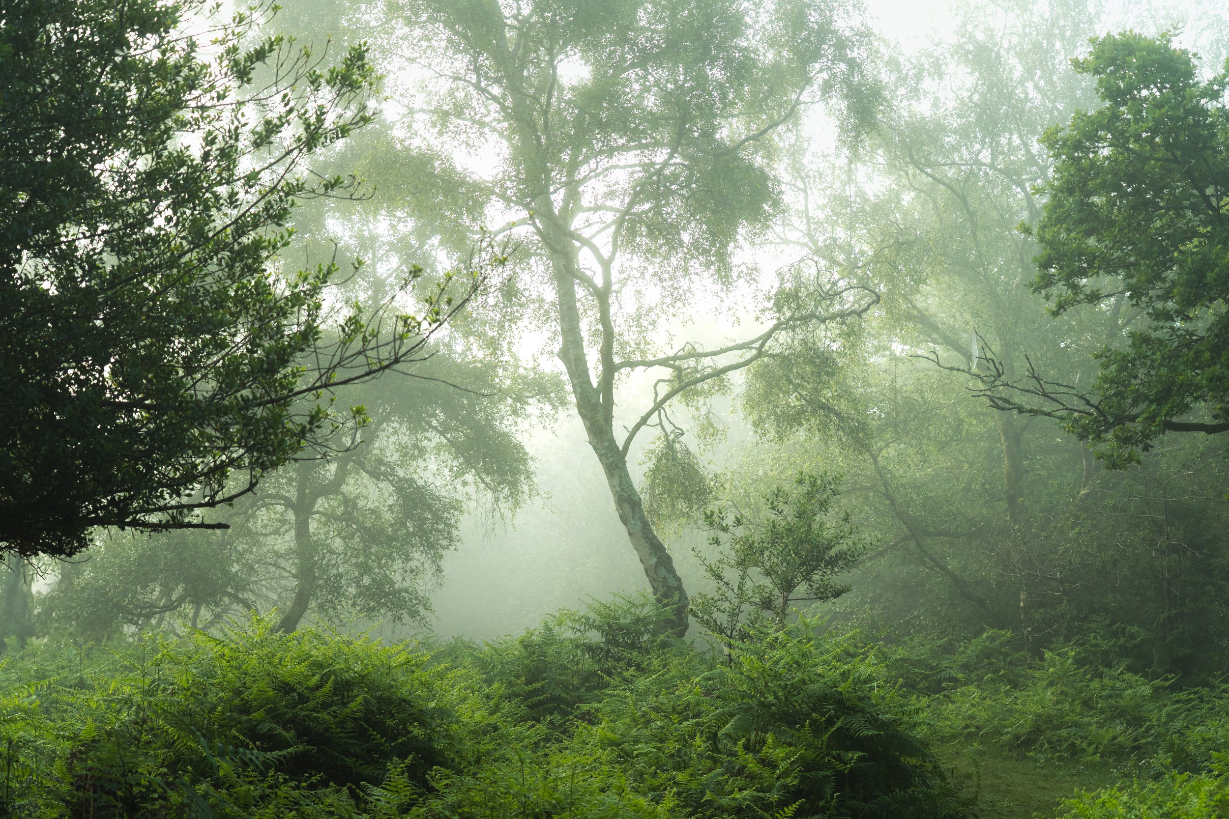 Portfolio Update -2-4.jpg