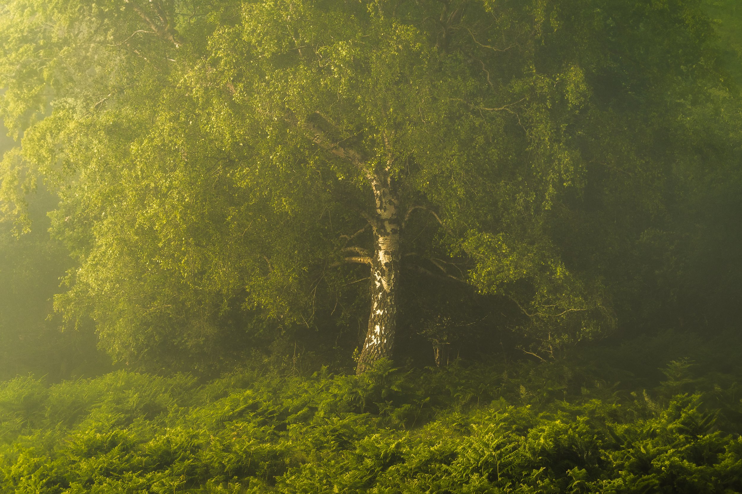 Portfolio Update -2-3.jpg