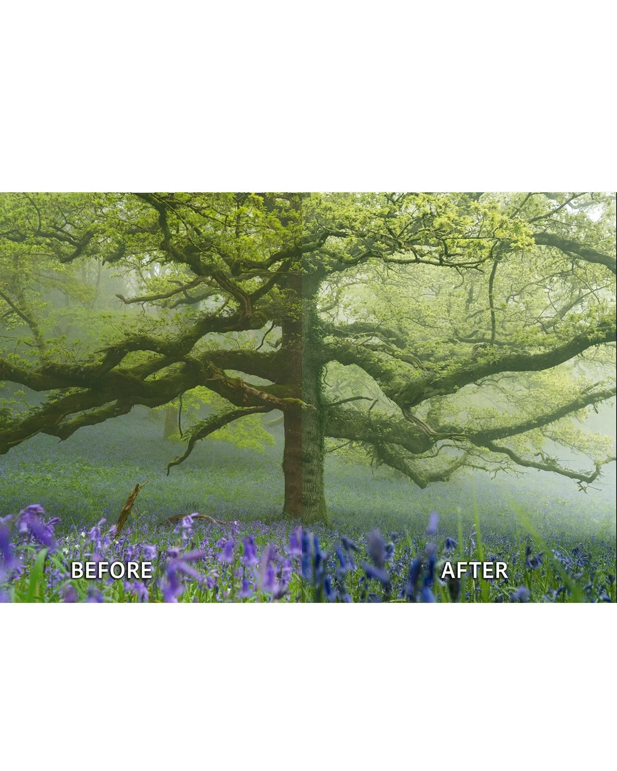 Before & After_0005_B&A6.jpg