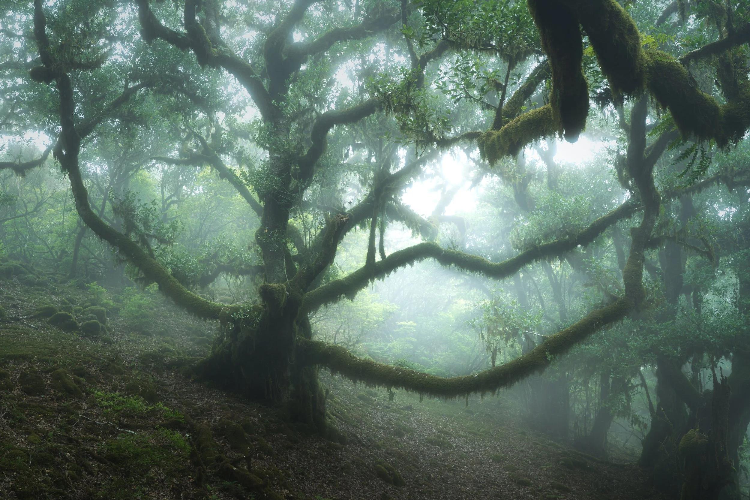 Portfolio Update -00504.jpg