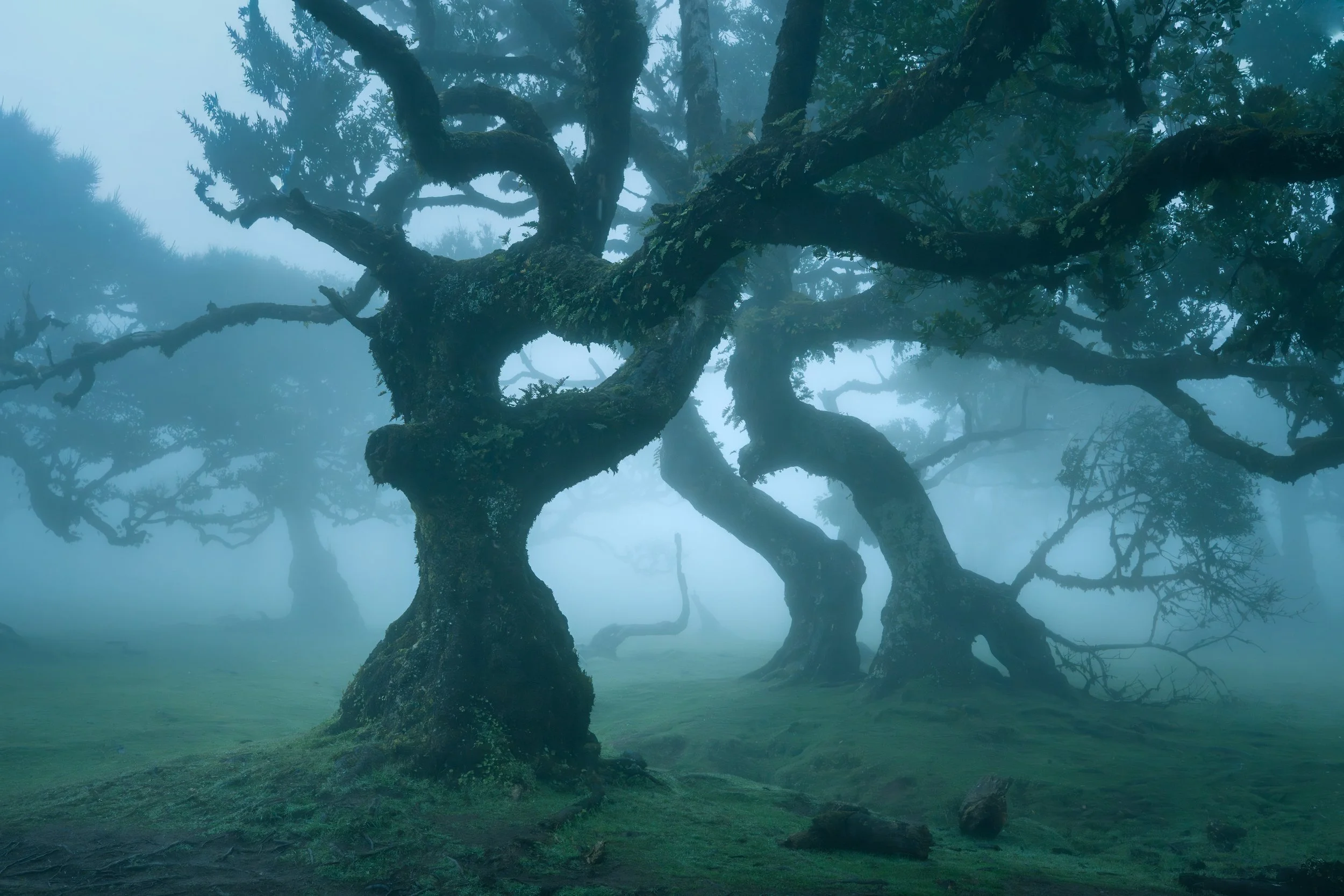 Portfolio Update -00737.jpg