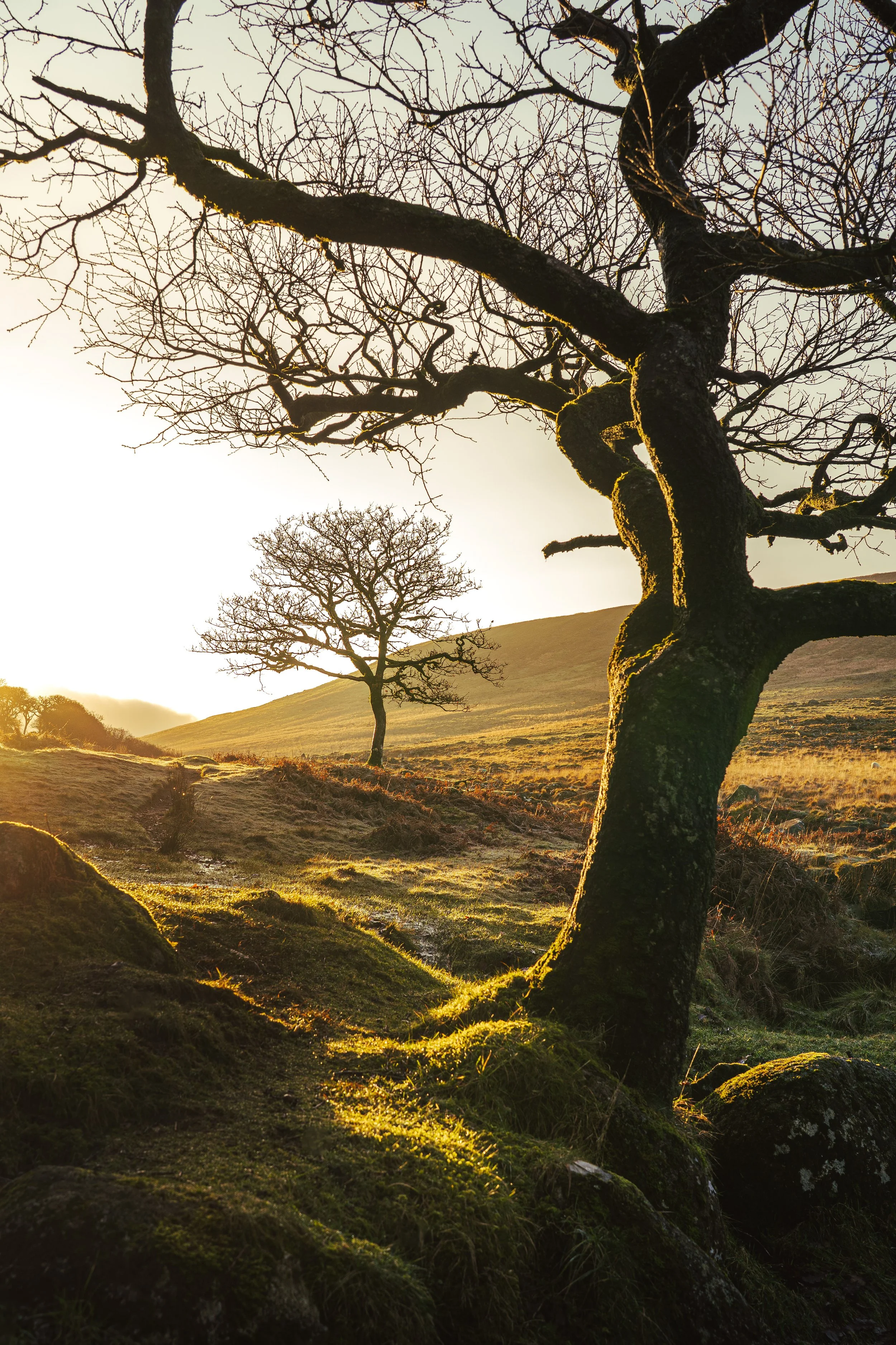 Portfolio Update -00334.jpg