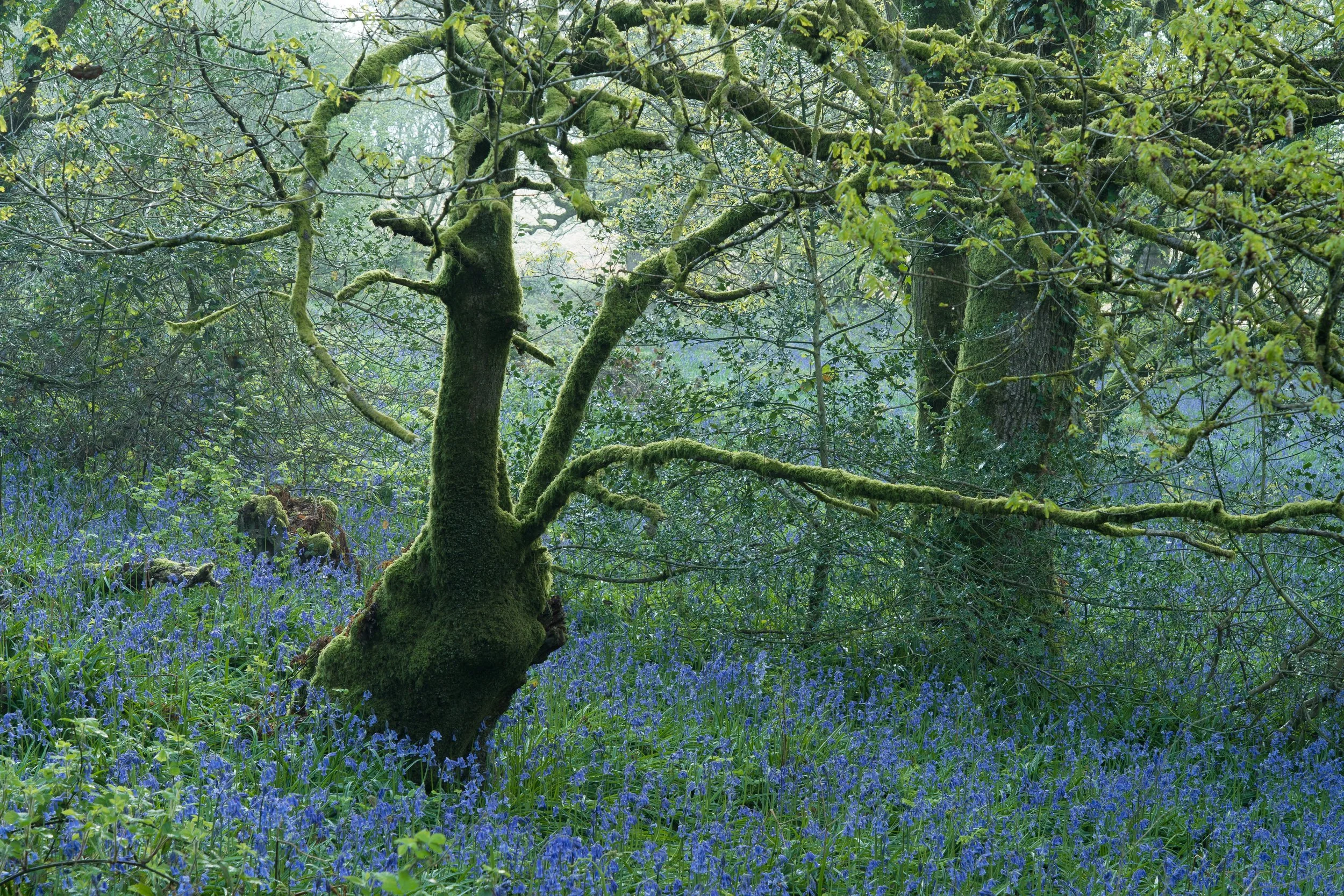 Portfolio Update -08894.jpg