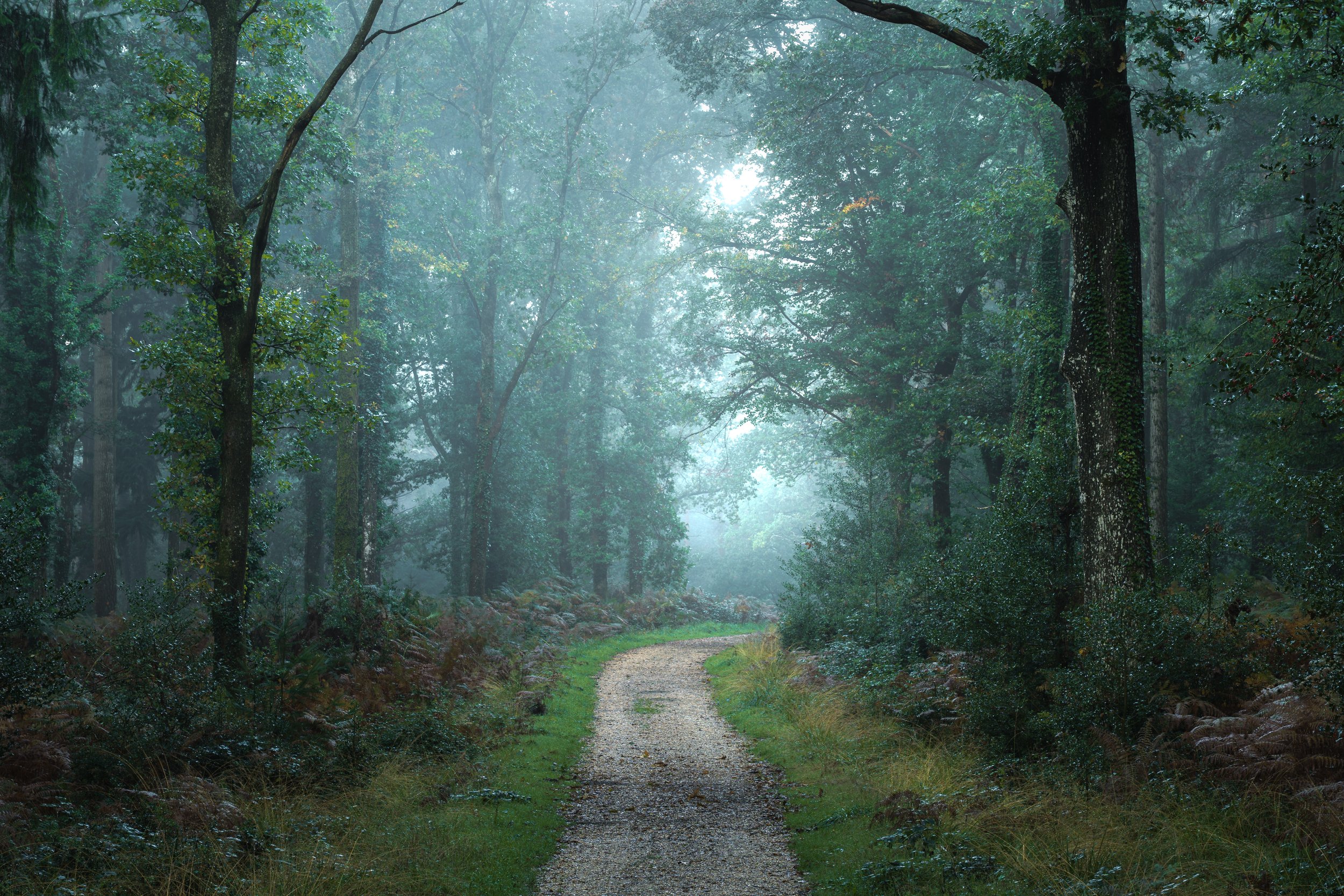 Portfolio Update -00391.jpg