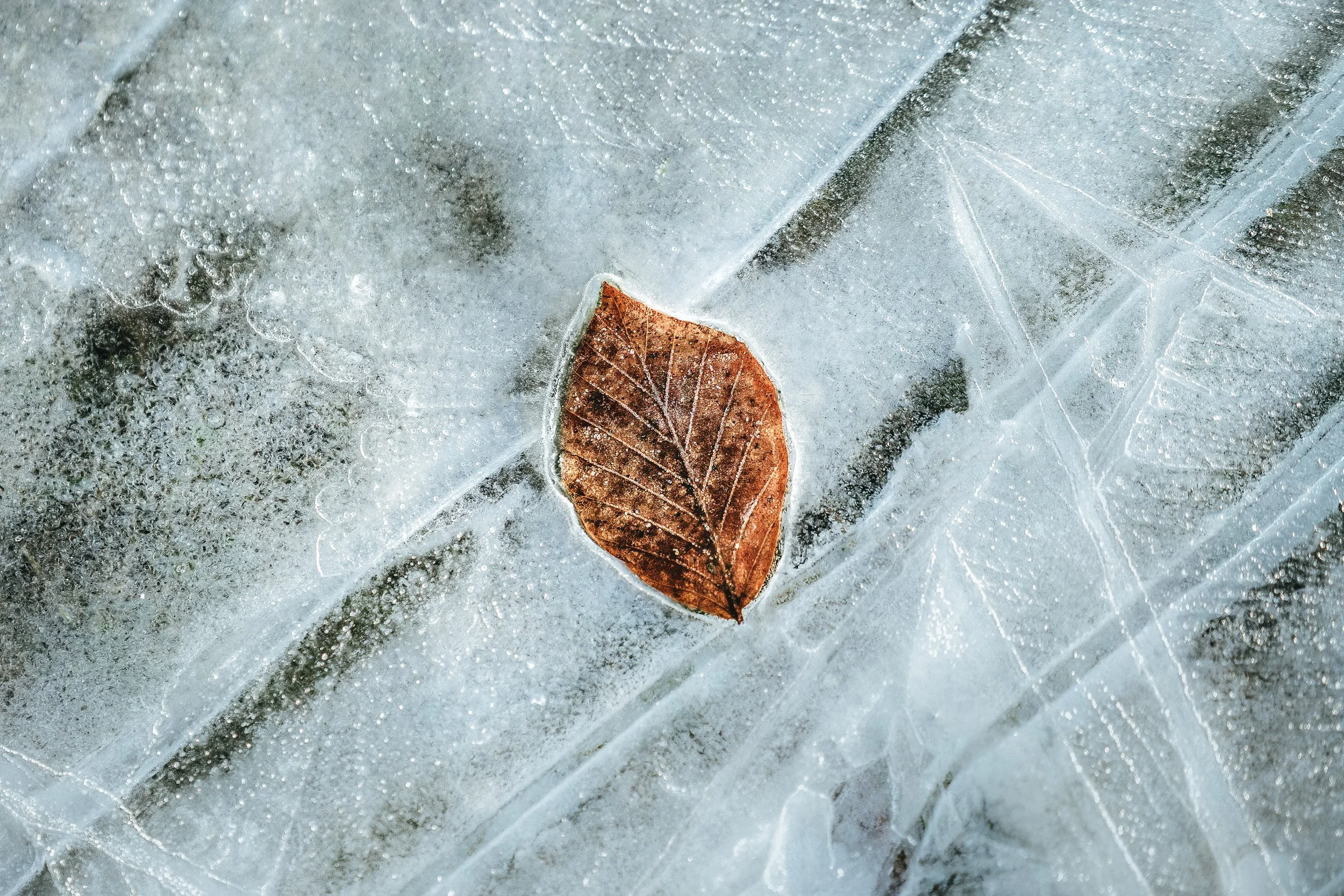 Portfolio Update --2.jpg