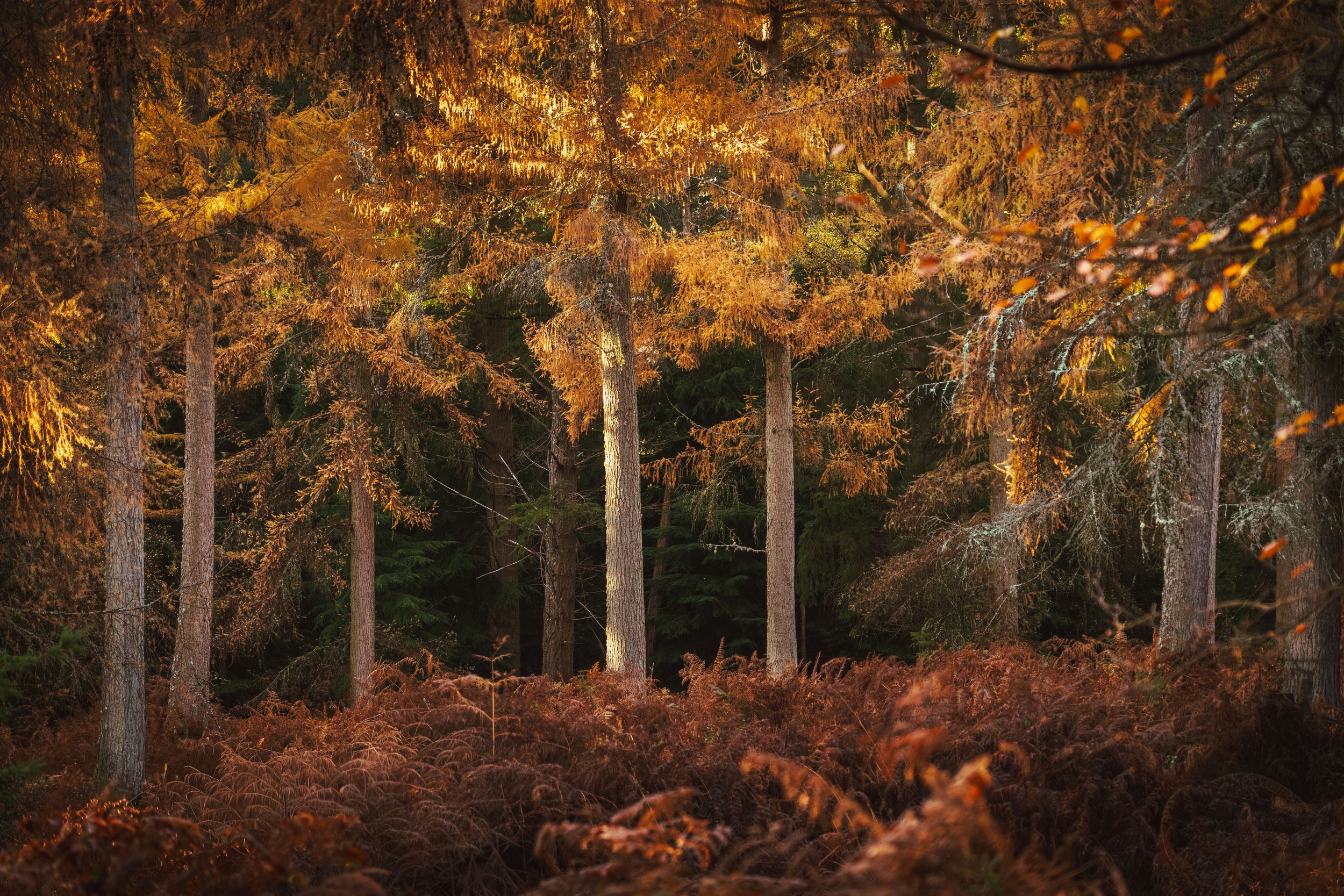 Portfolio Update -2-6.jpg