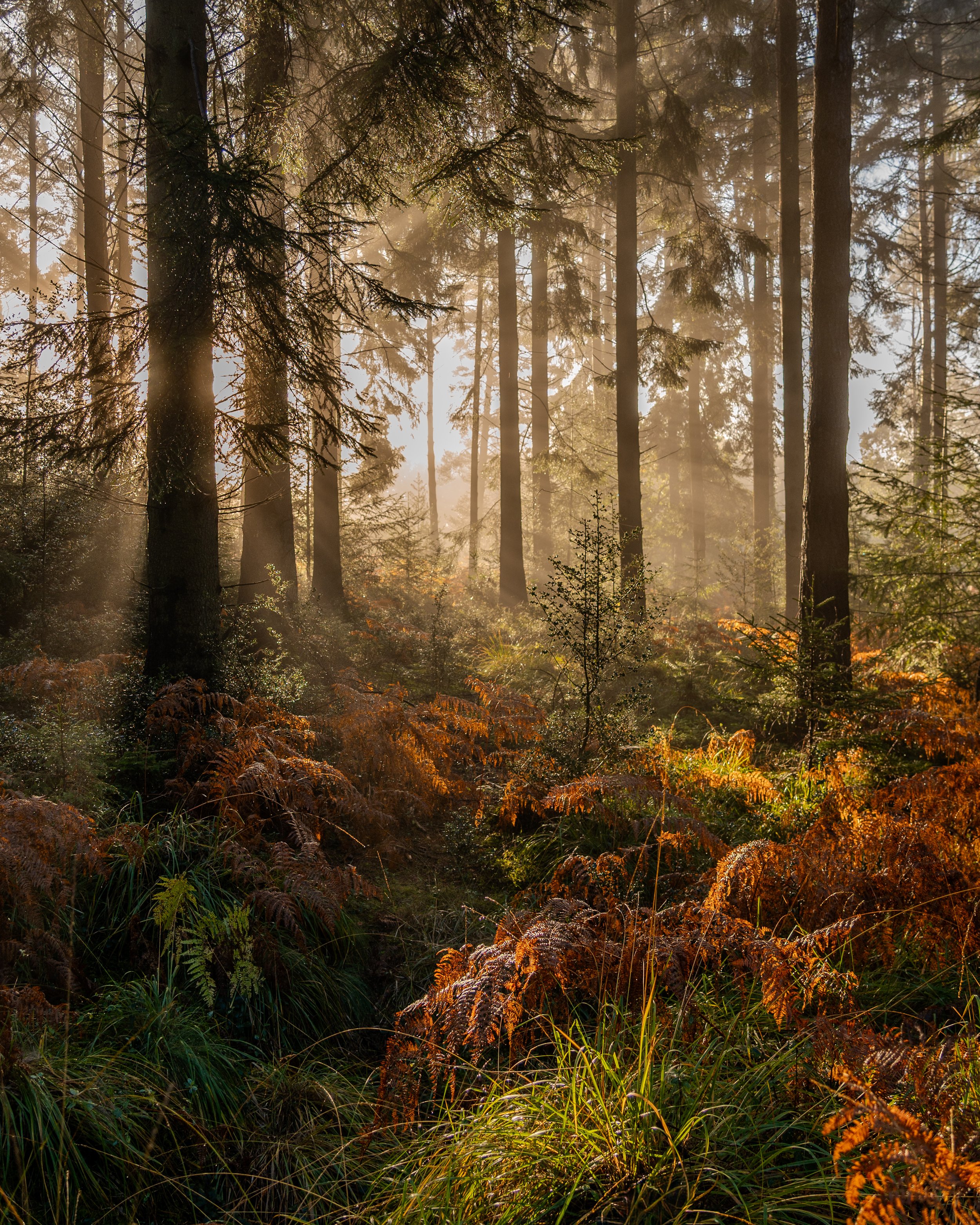 Portfolio Update -00443.jpg