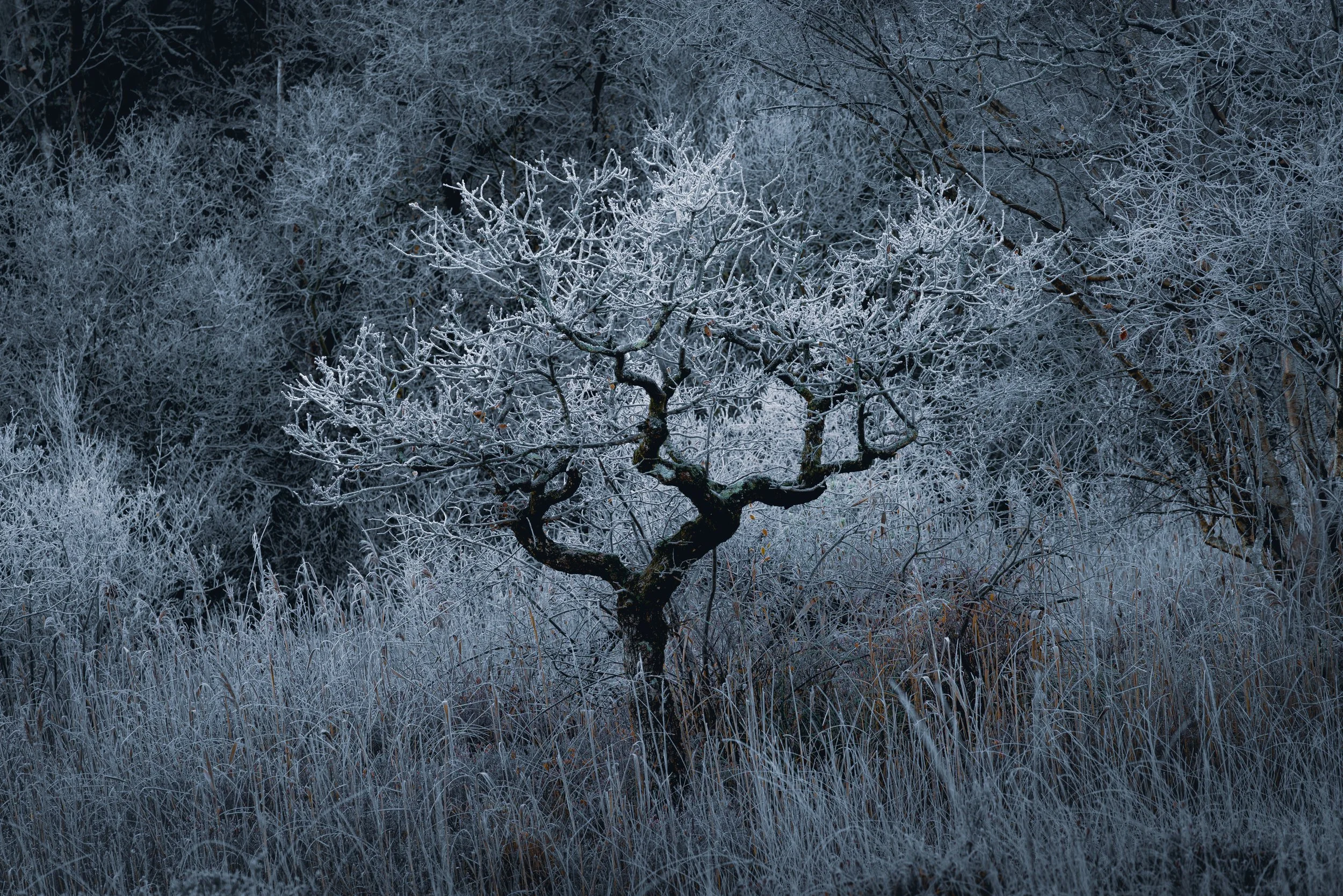 Portfolio Update -00024.jpg