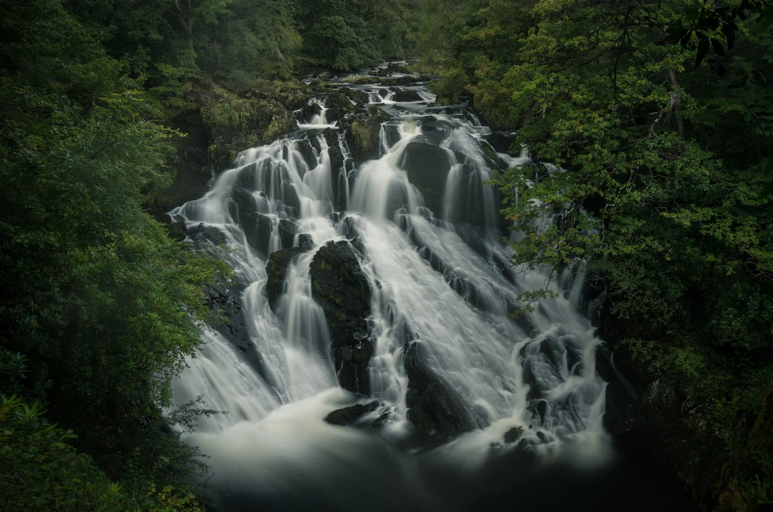 Portfolio Update -03124.jpg