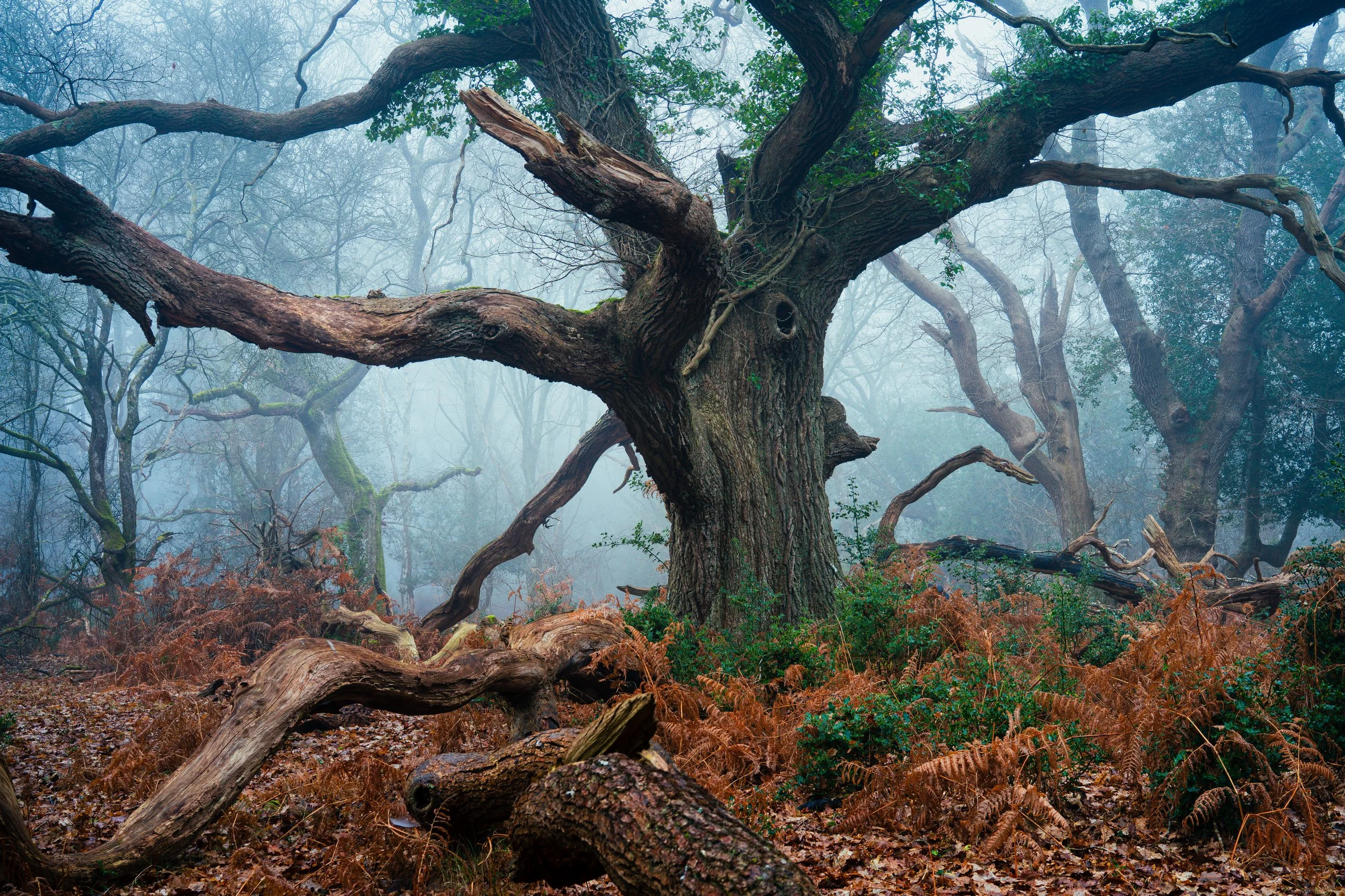 Portfolio Update -00242.jpg