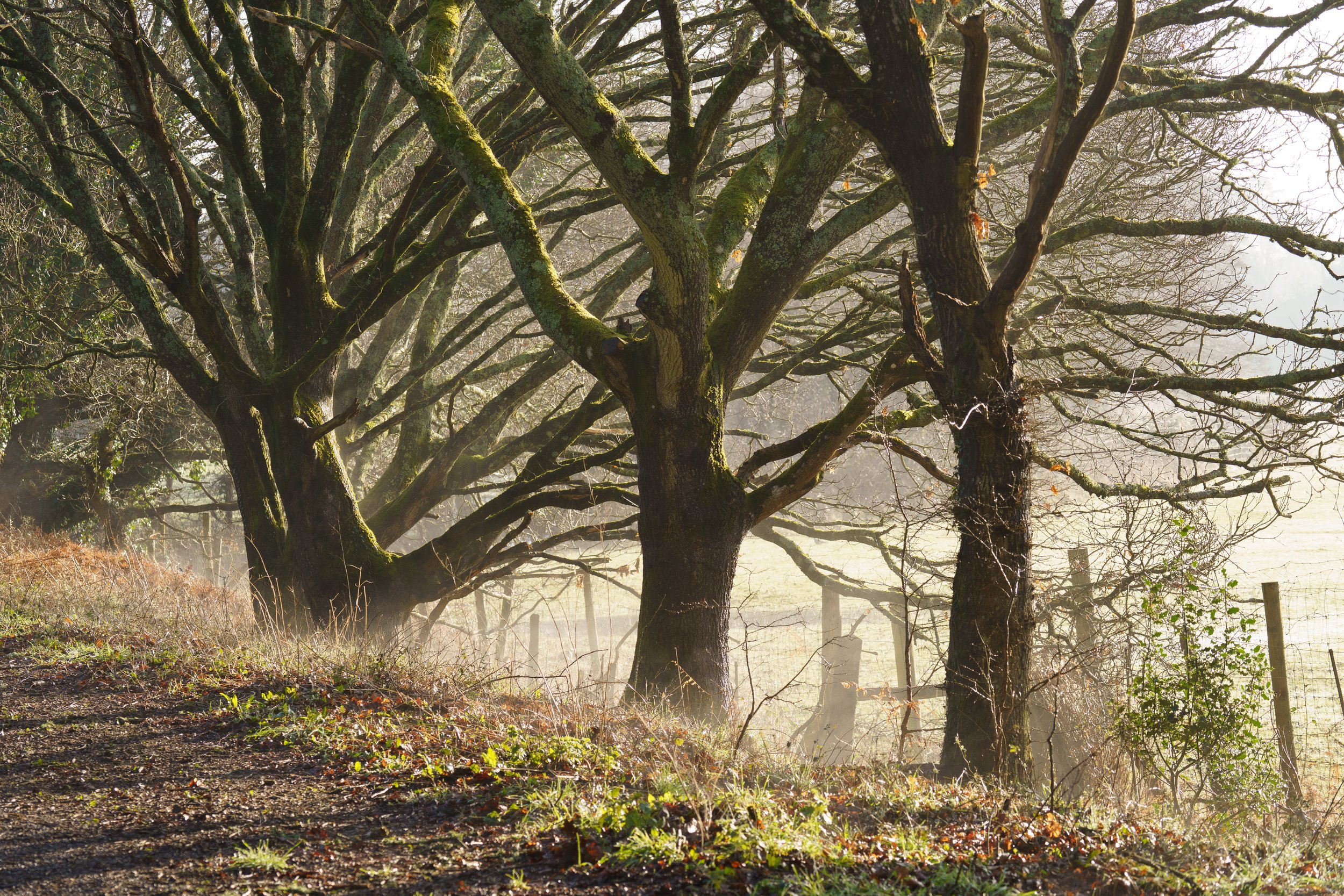 Portfolio Update -00716.jpg