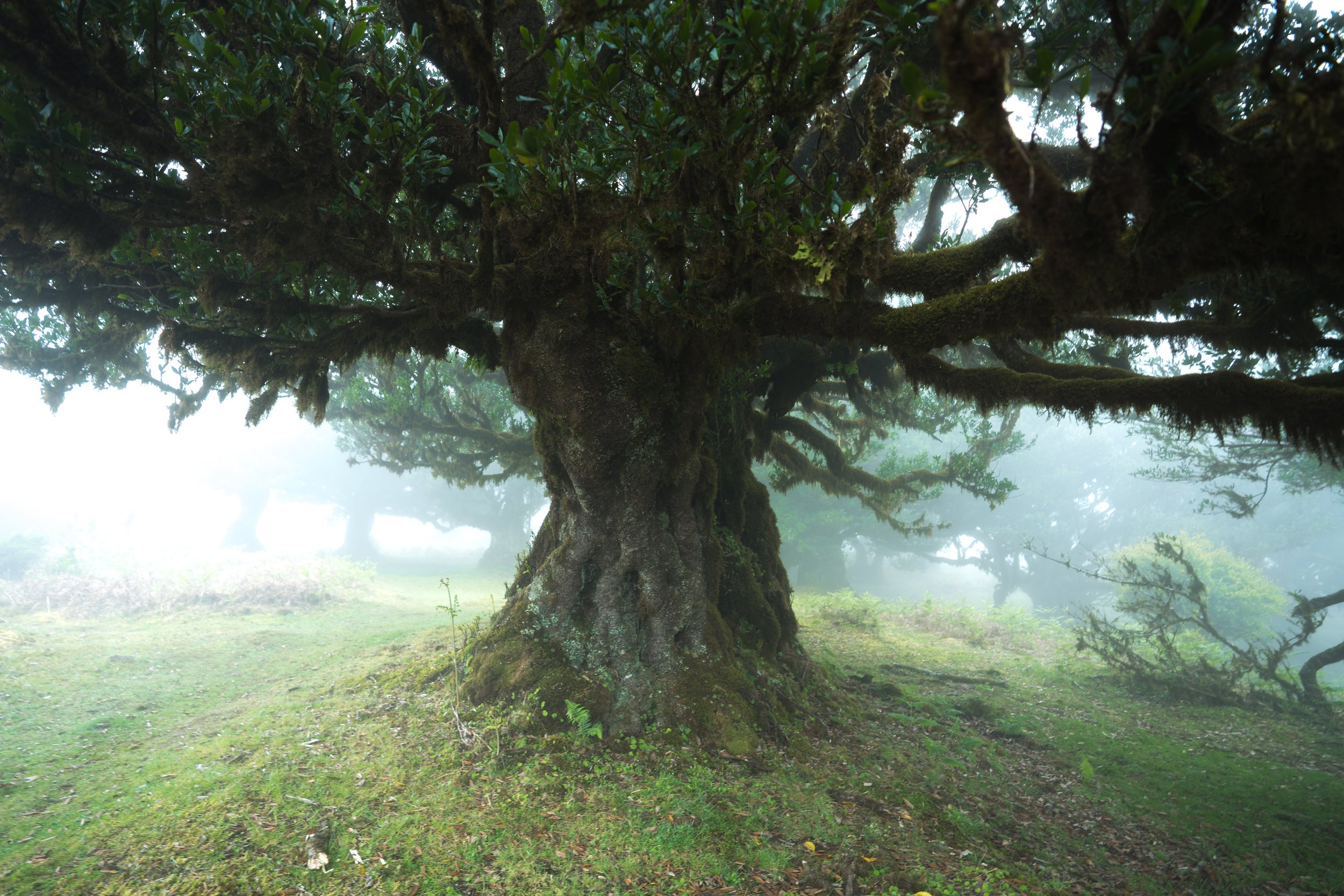 Portfolio Update -00569.jpg