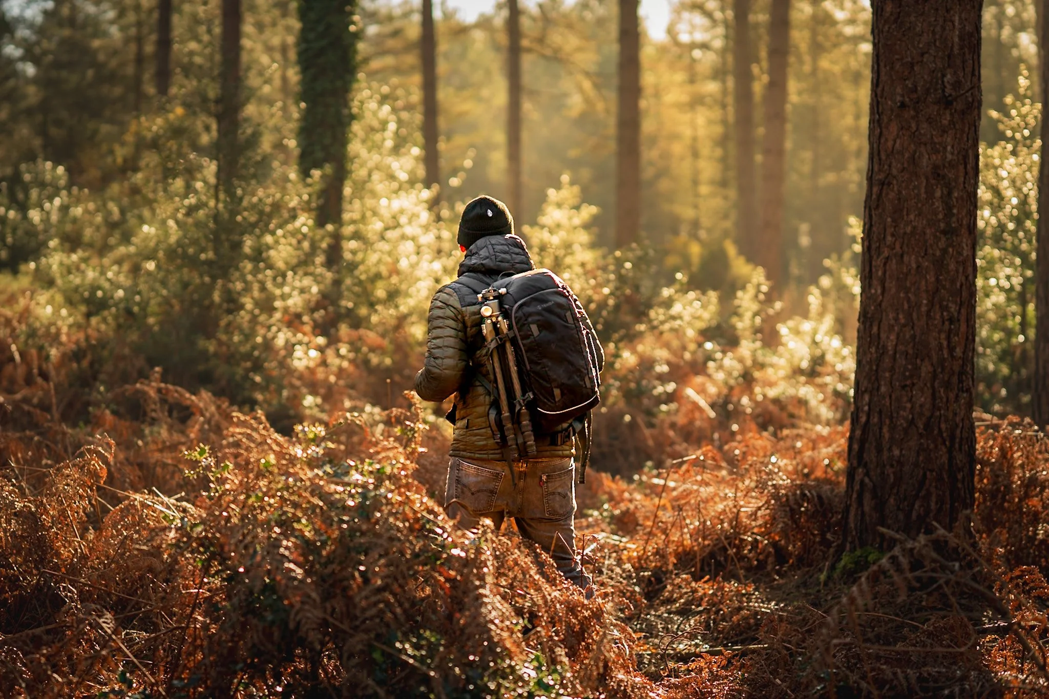 1-2-1 Forest Photography Workshop with Lee Cooper – Tailored to the Season