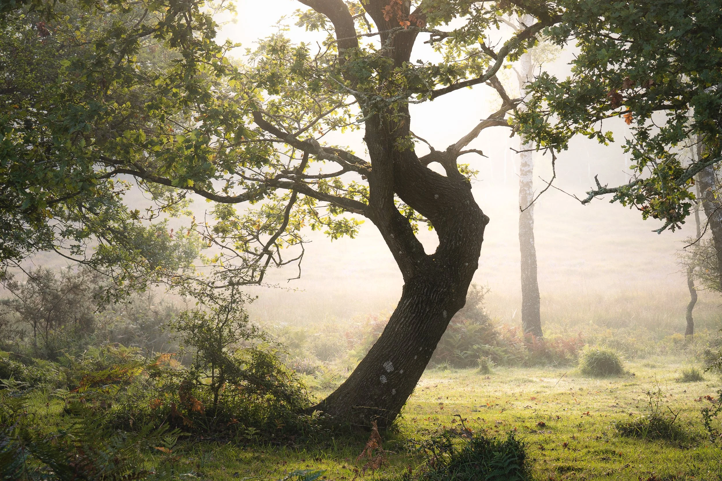 Portfolio Update -00050-2.jpg