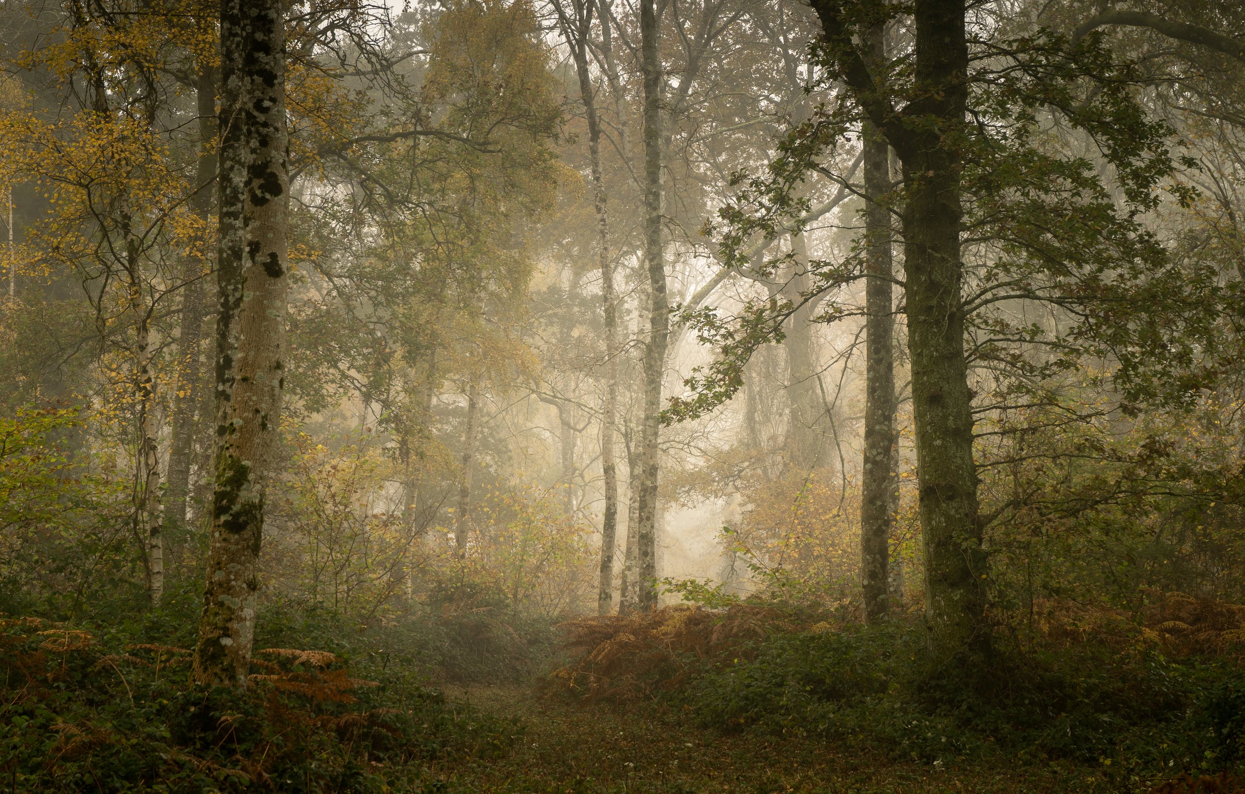 Autumn-13.jpg