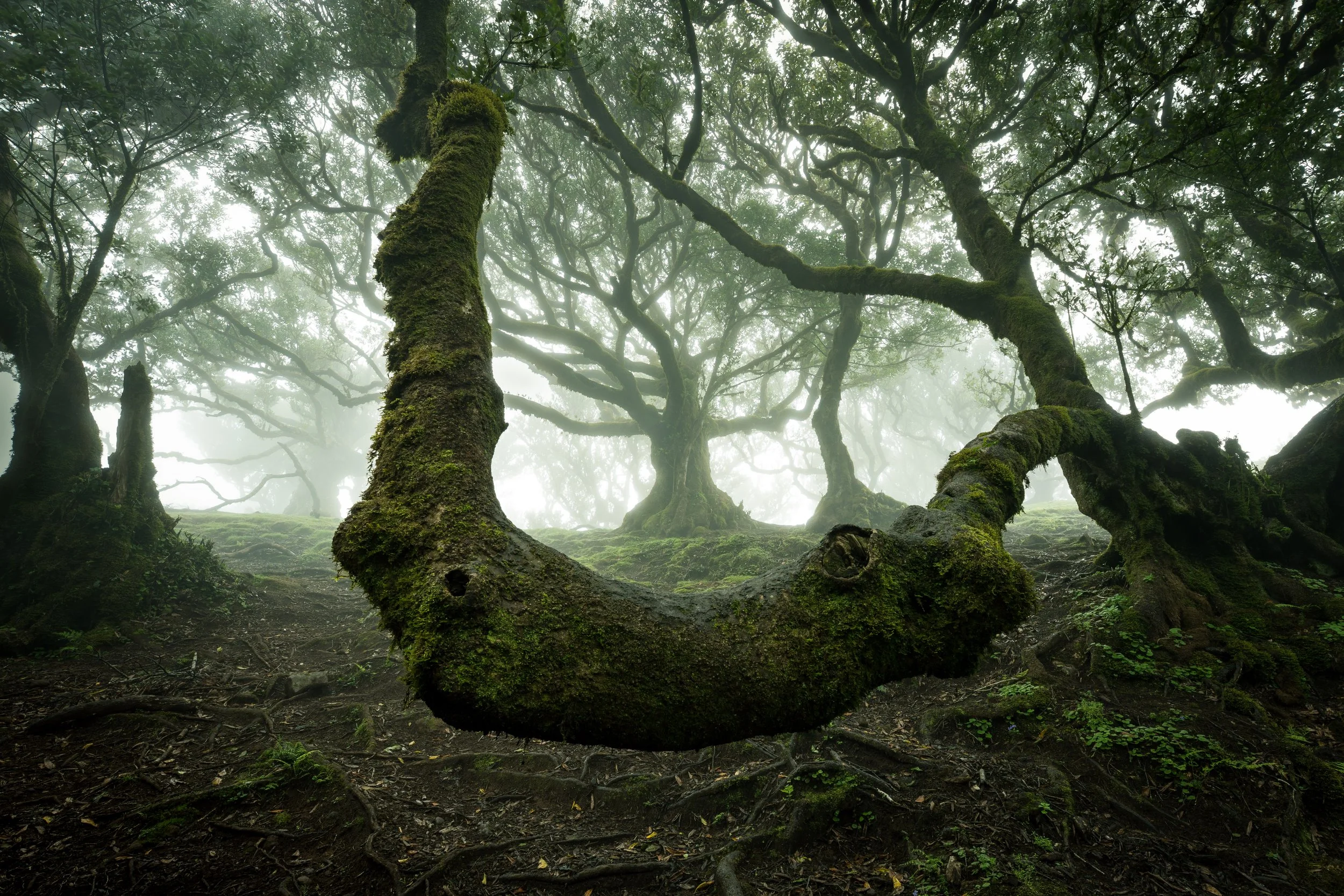 Portfolio Update -00143.jpg