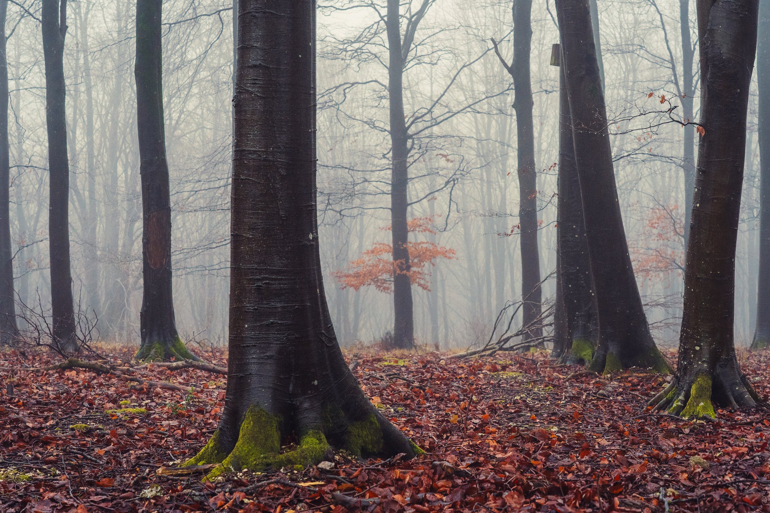 Portfolio Update -00882.jpg