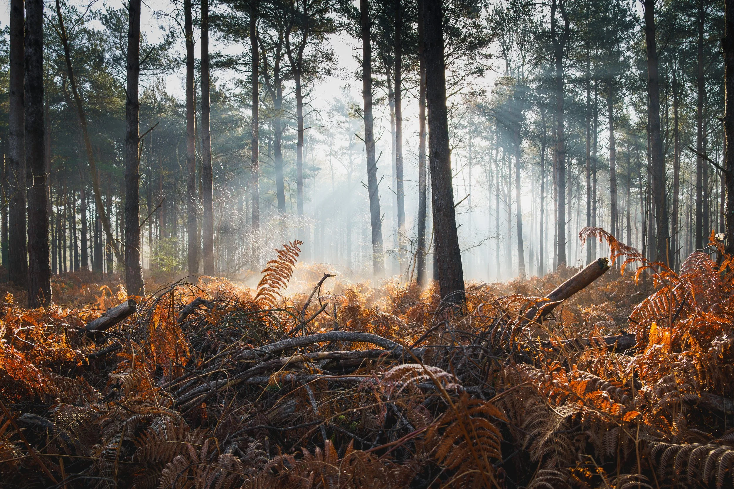 Portfolio Update --4.jpg