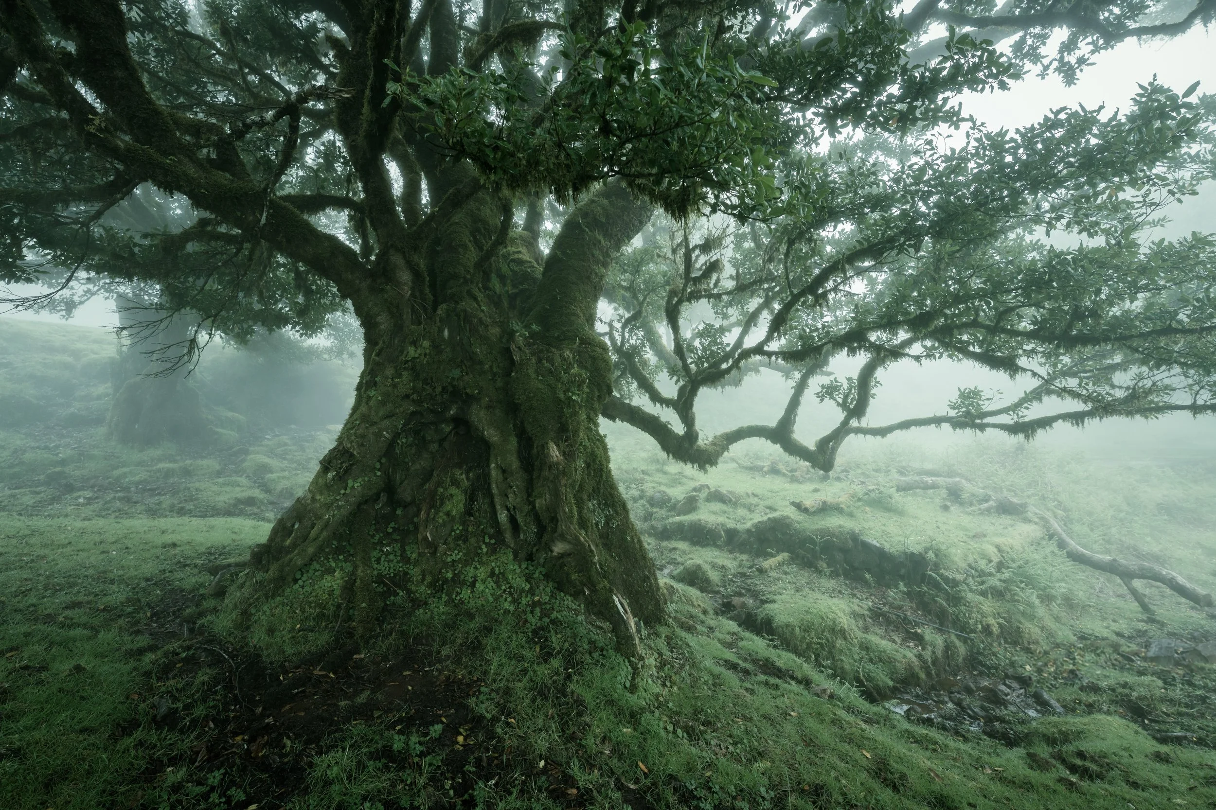 Portfolio Update -09672.jpg