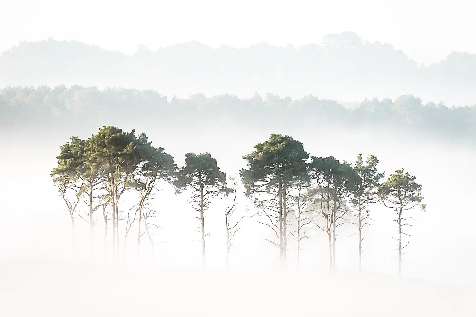 Portfolio Update -.jpg