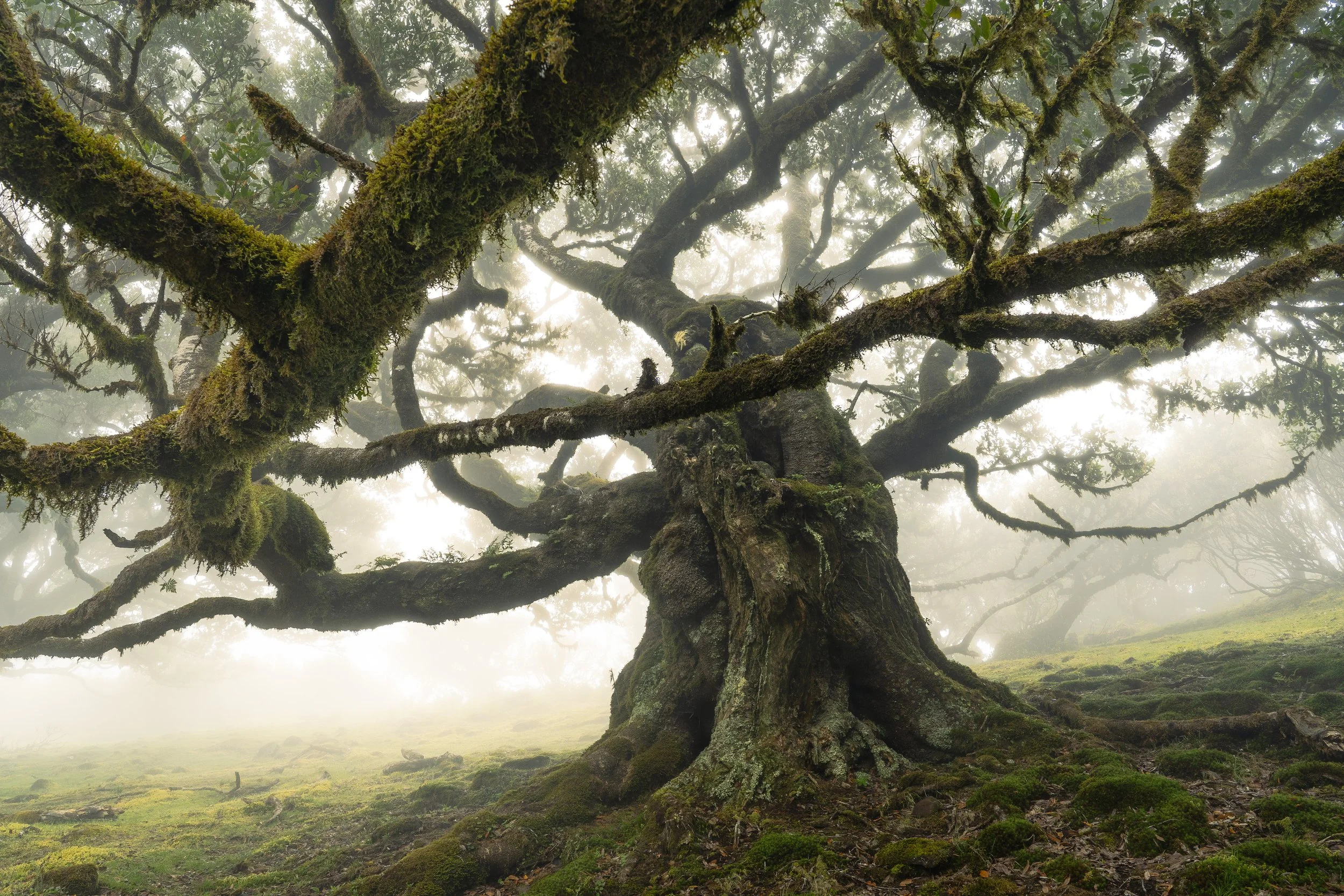 Portfolio Update -00586.jpg