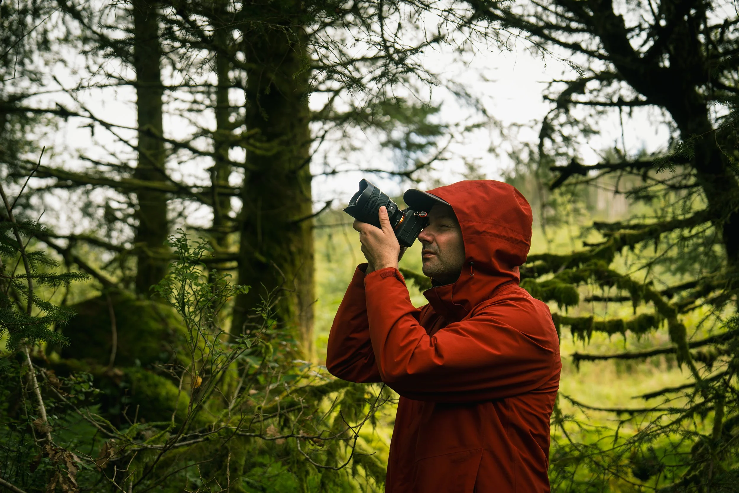 Portfolio Update -00869-2.jpg