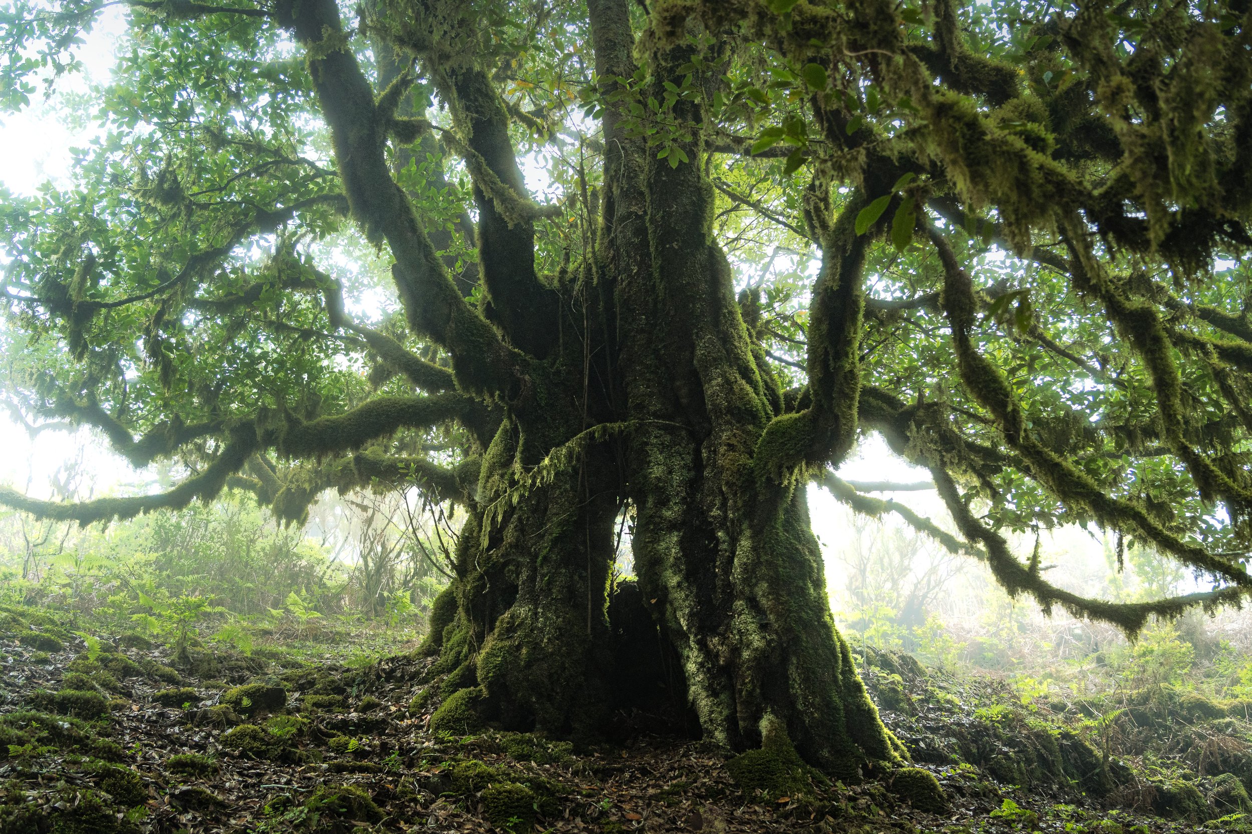 Portfolio Update -00524.jpg