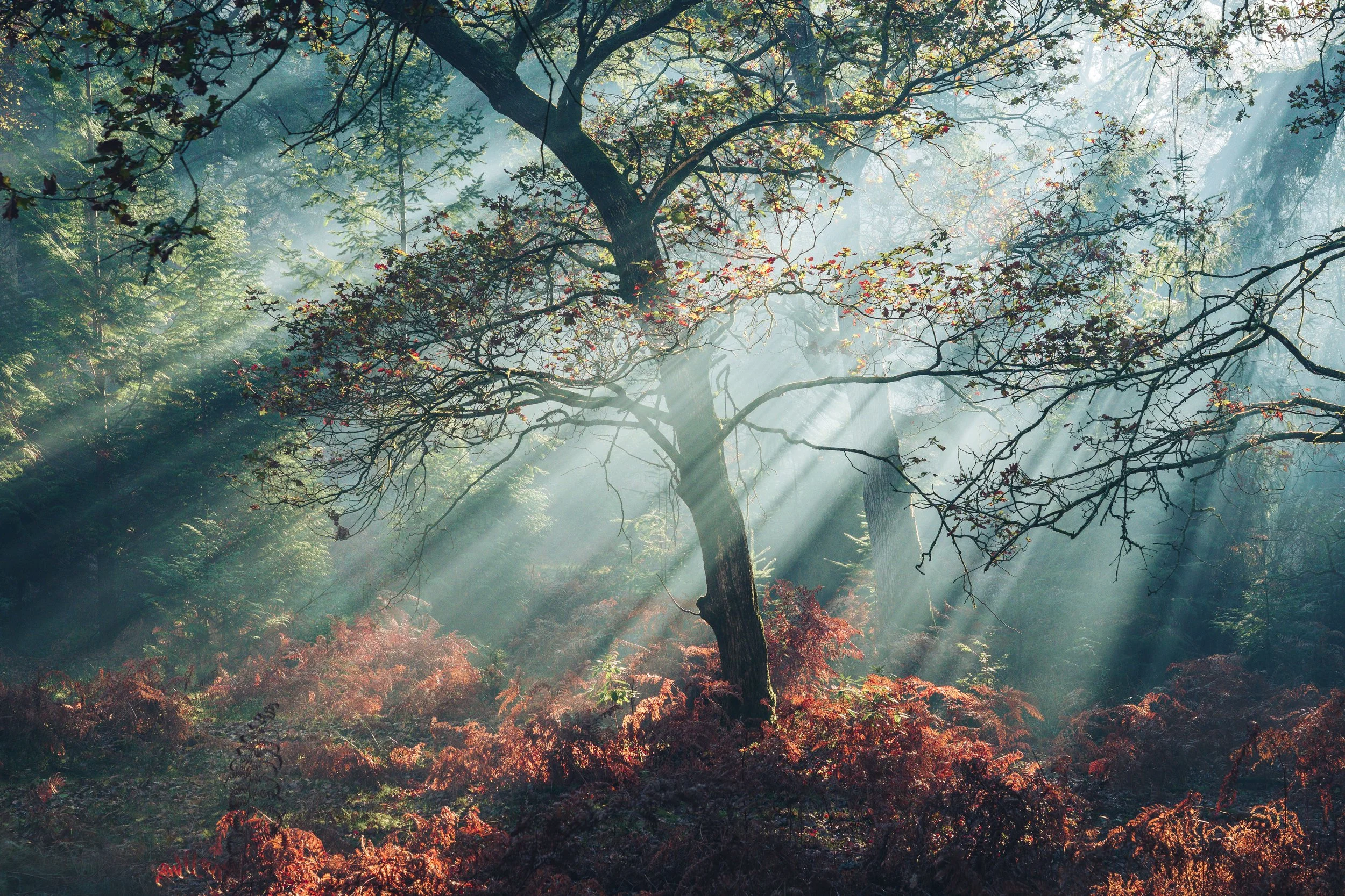 Portfolio Update -08871.jpg