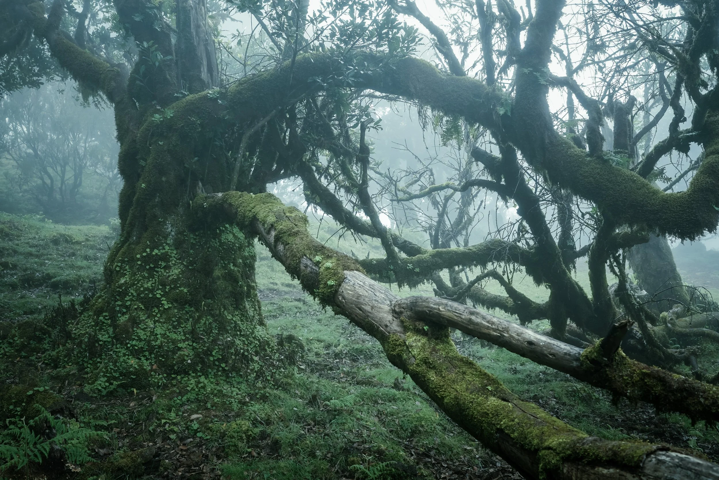 Portfolio Update -09153.jpg