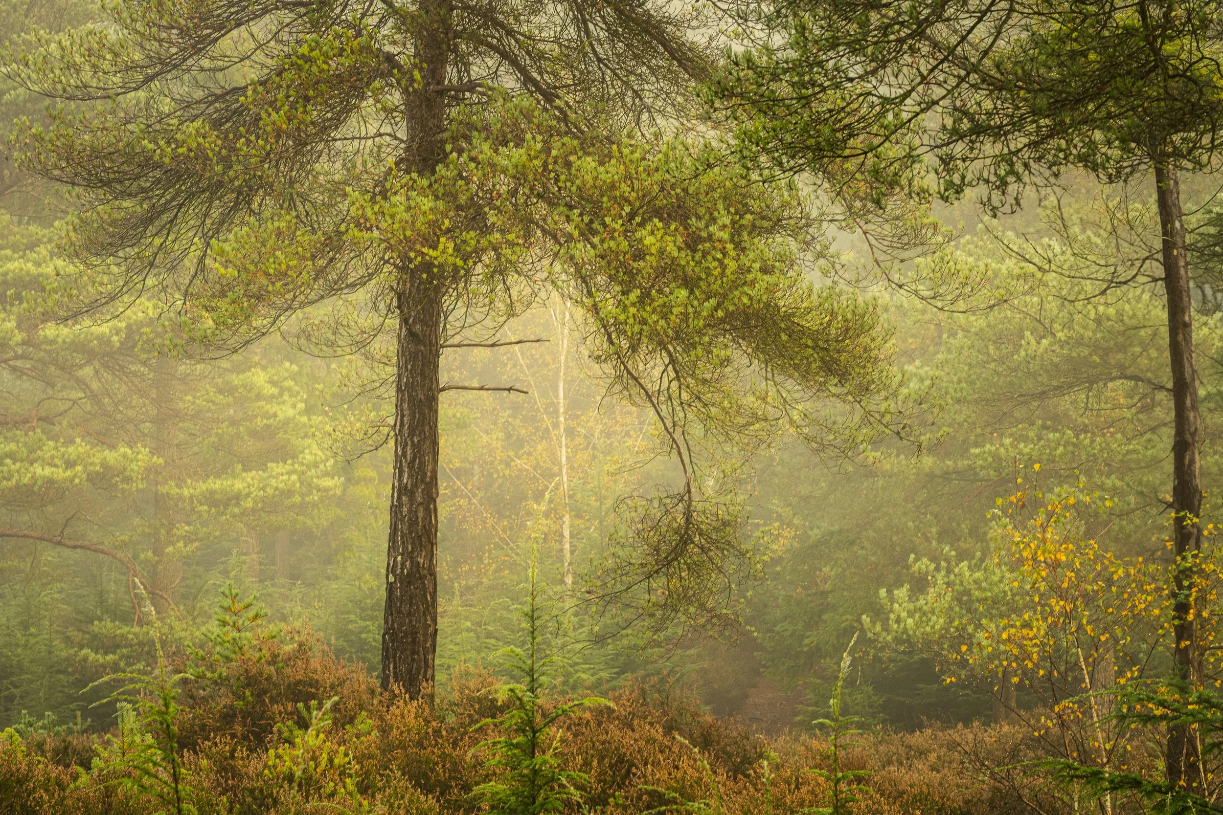 Portfolio Update -08095.jpg