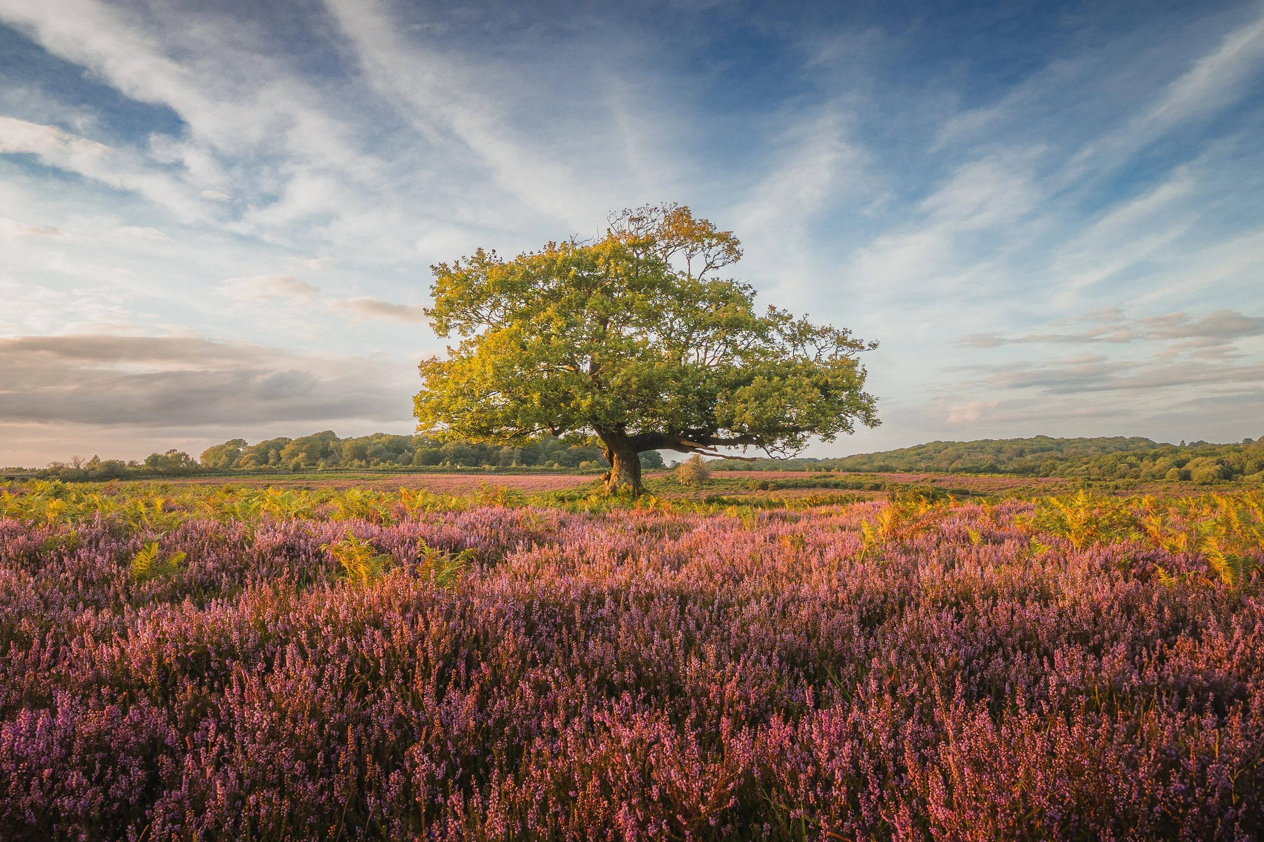 Portfolio Update -04129.jpg