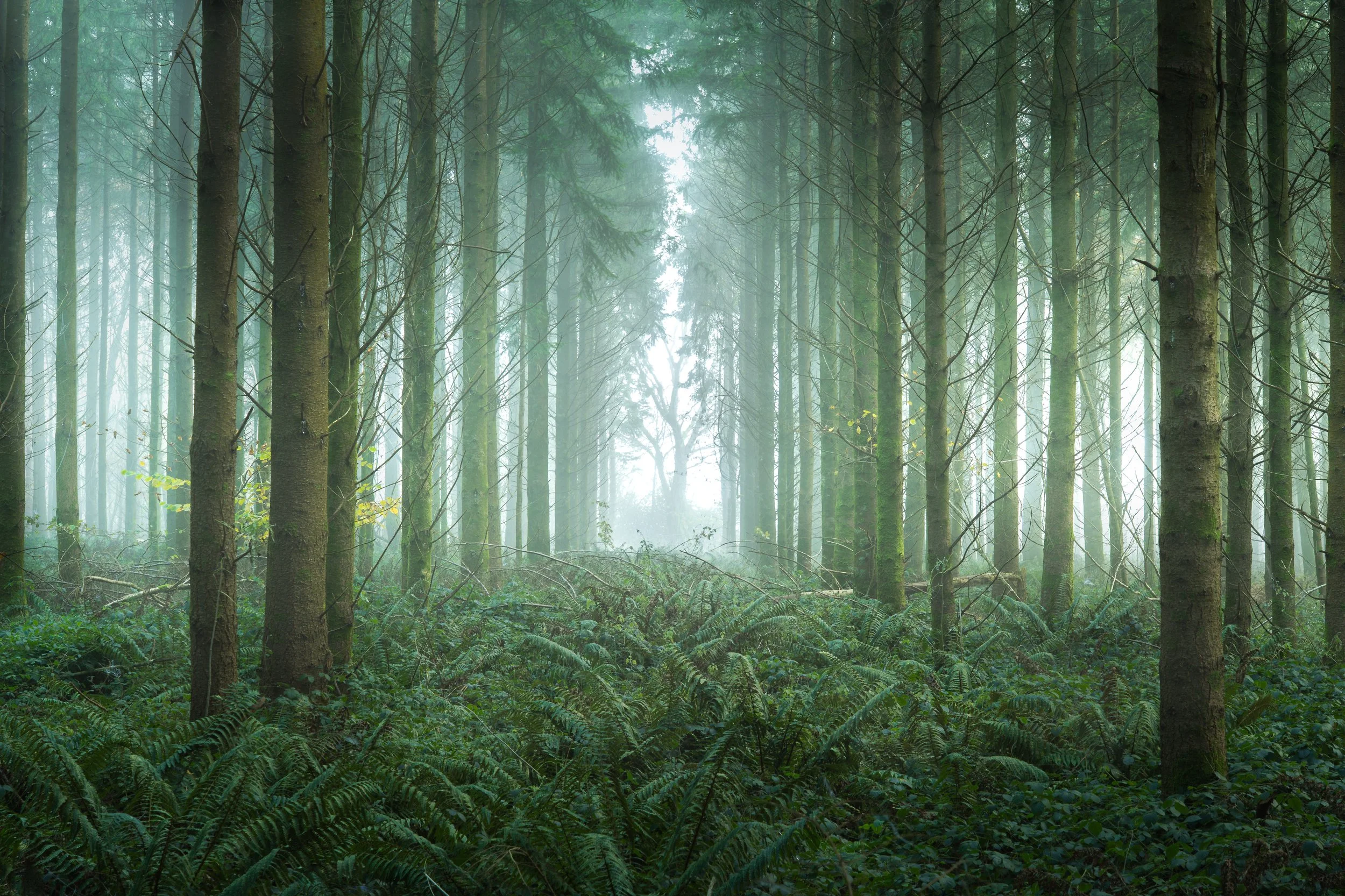 Portfolio Update -2-2.jpg