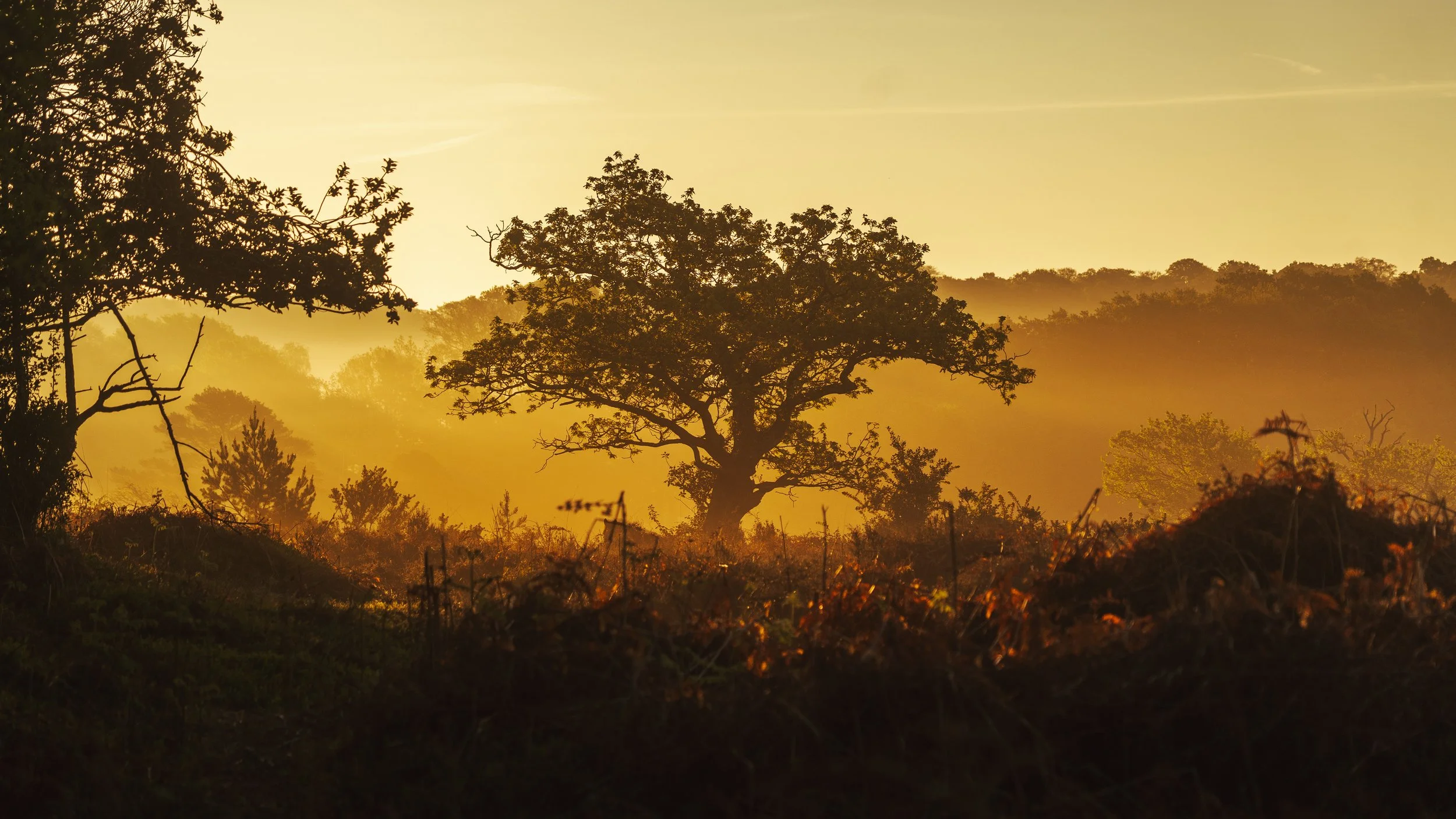 Portfolio Update -01721.jpg