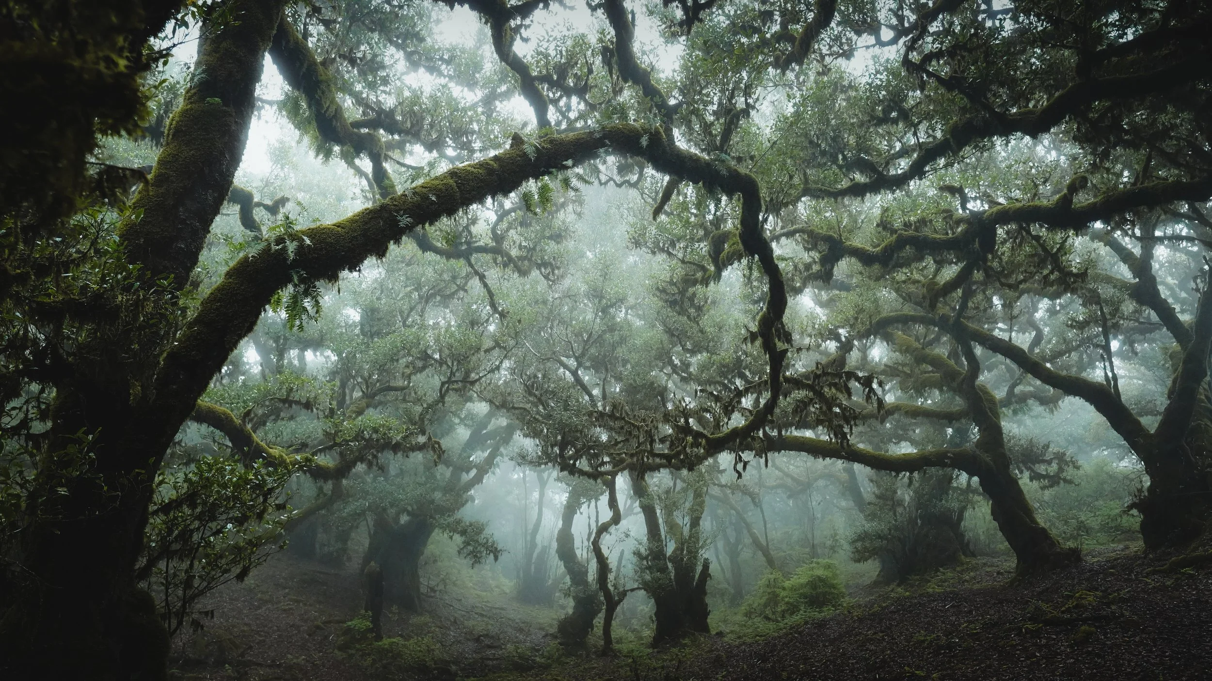 Madeira-09241.jpg