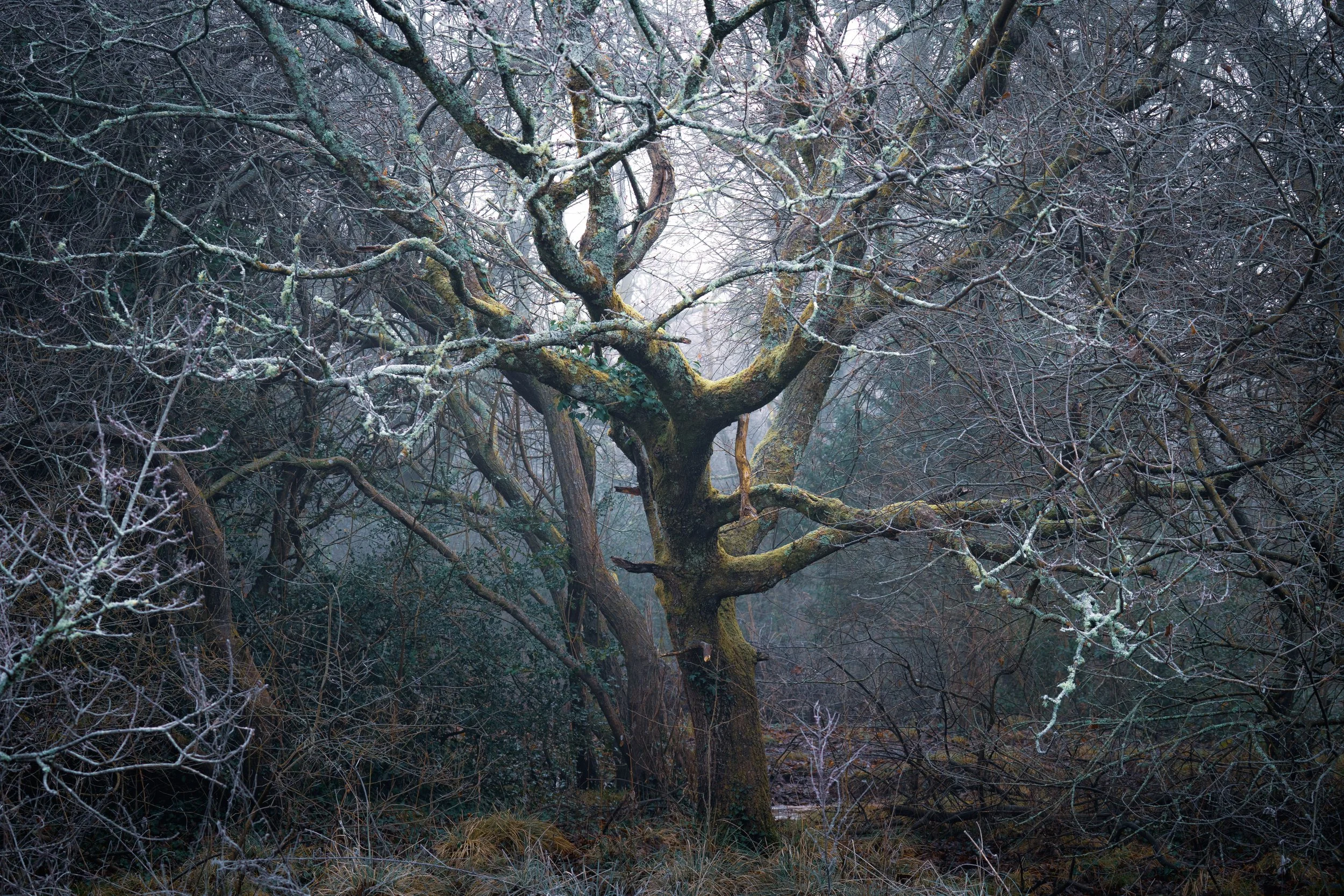 Portfolio Update -00208.jpg