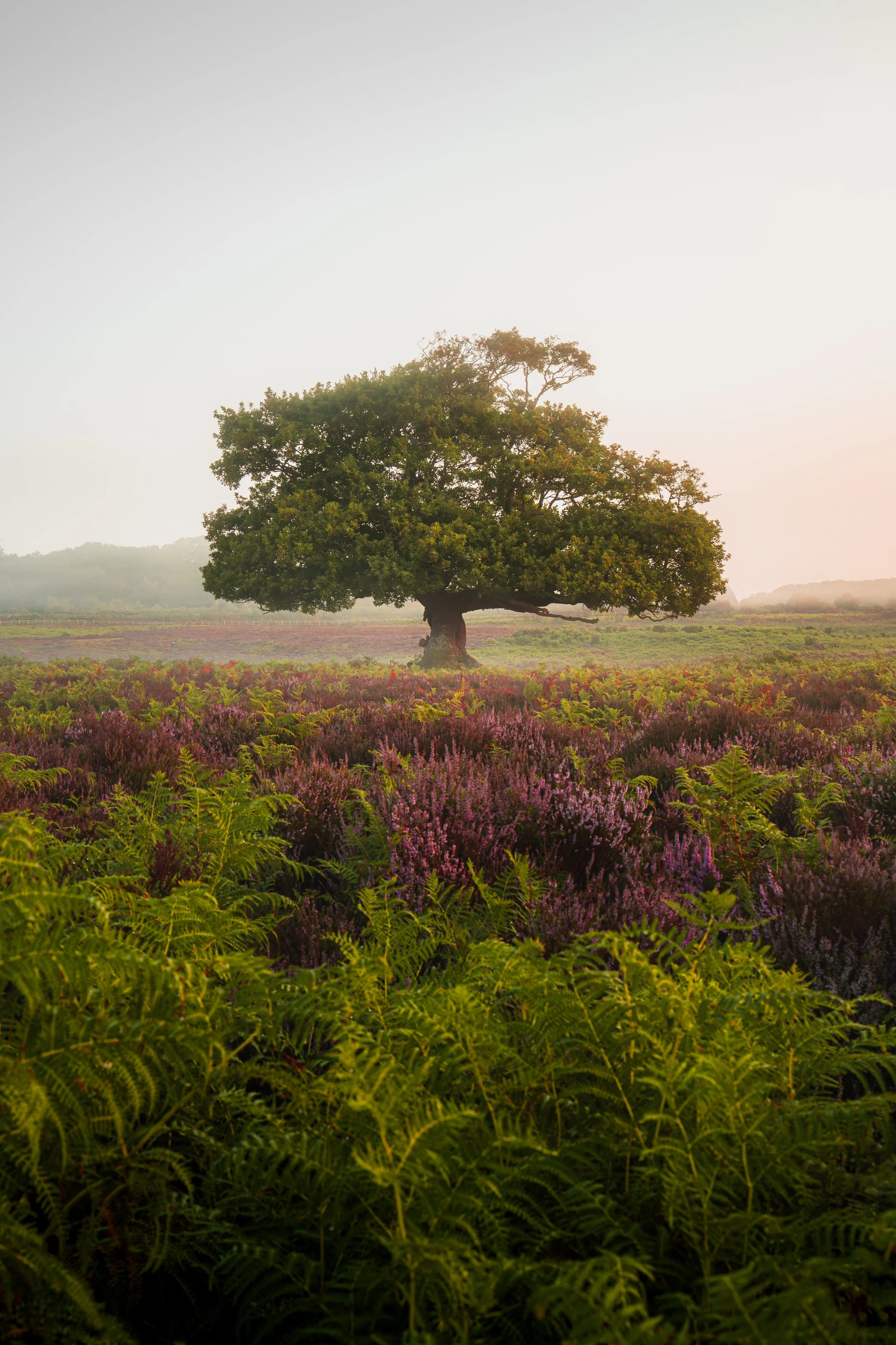 Portfolio Update -00869.jpg