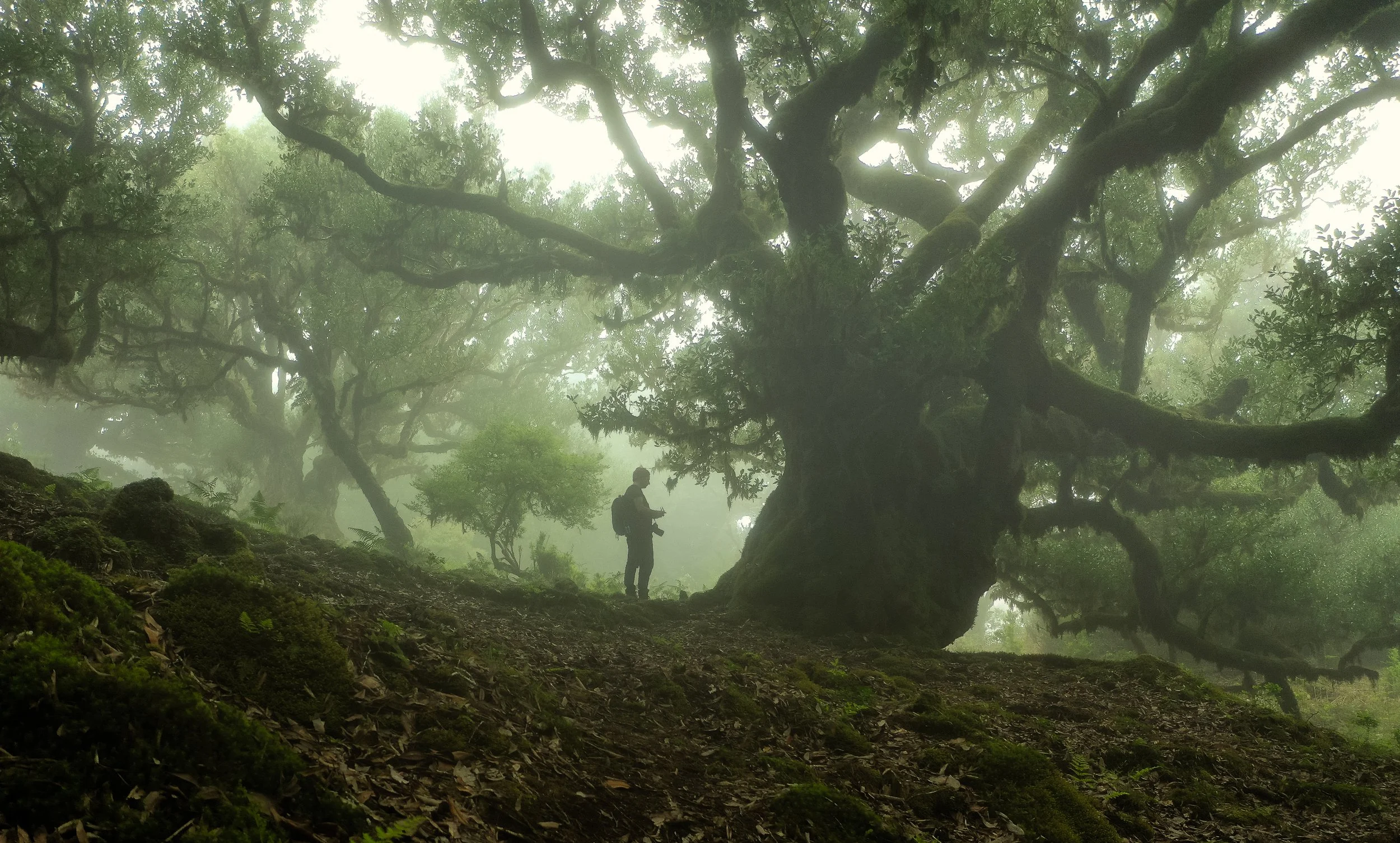 Portfolio Update -0907.jpg