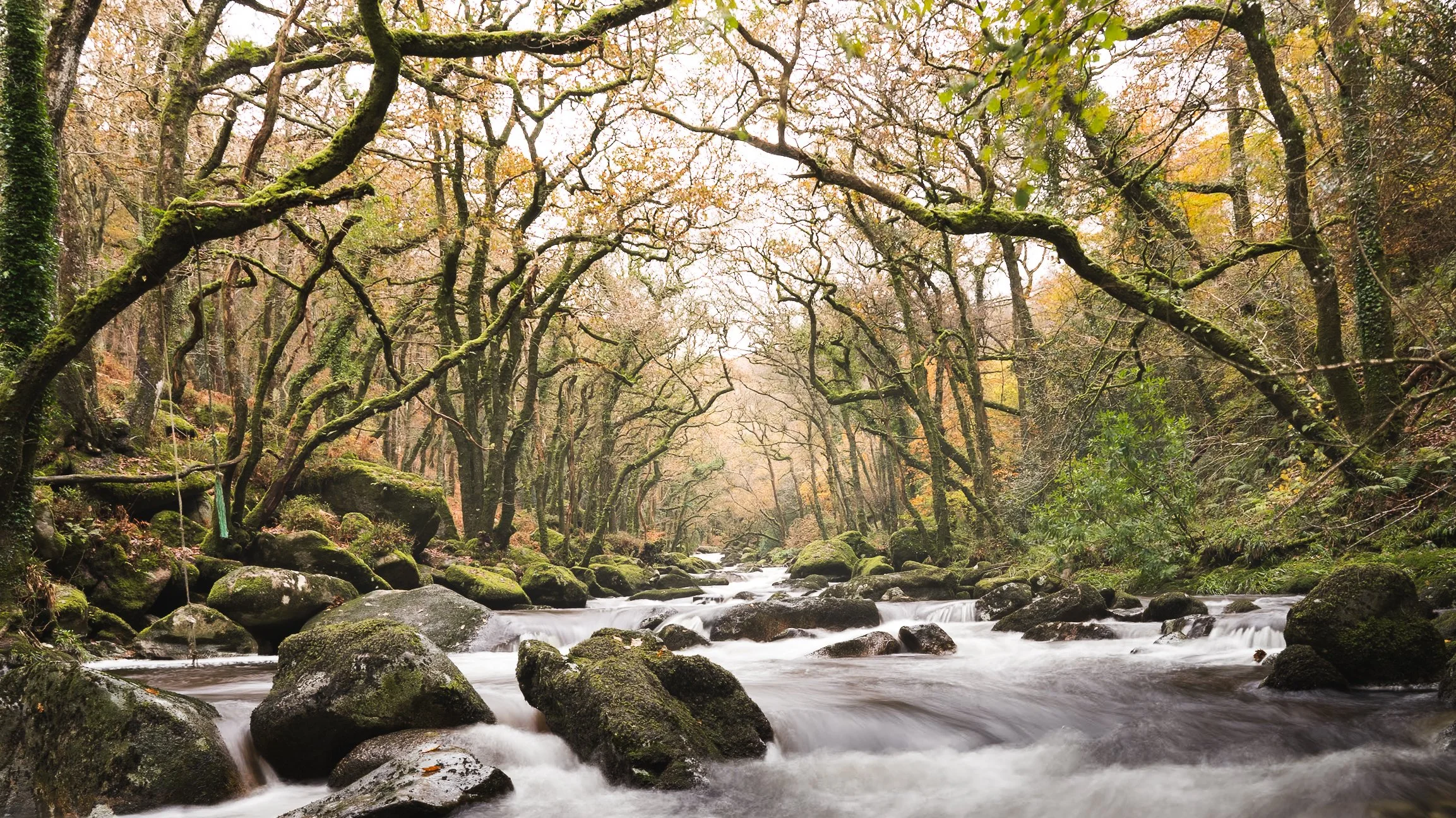 Portfolio Update -00480-2.jpg