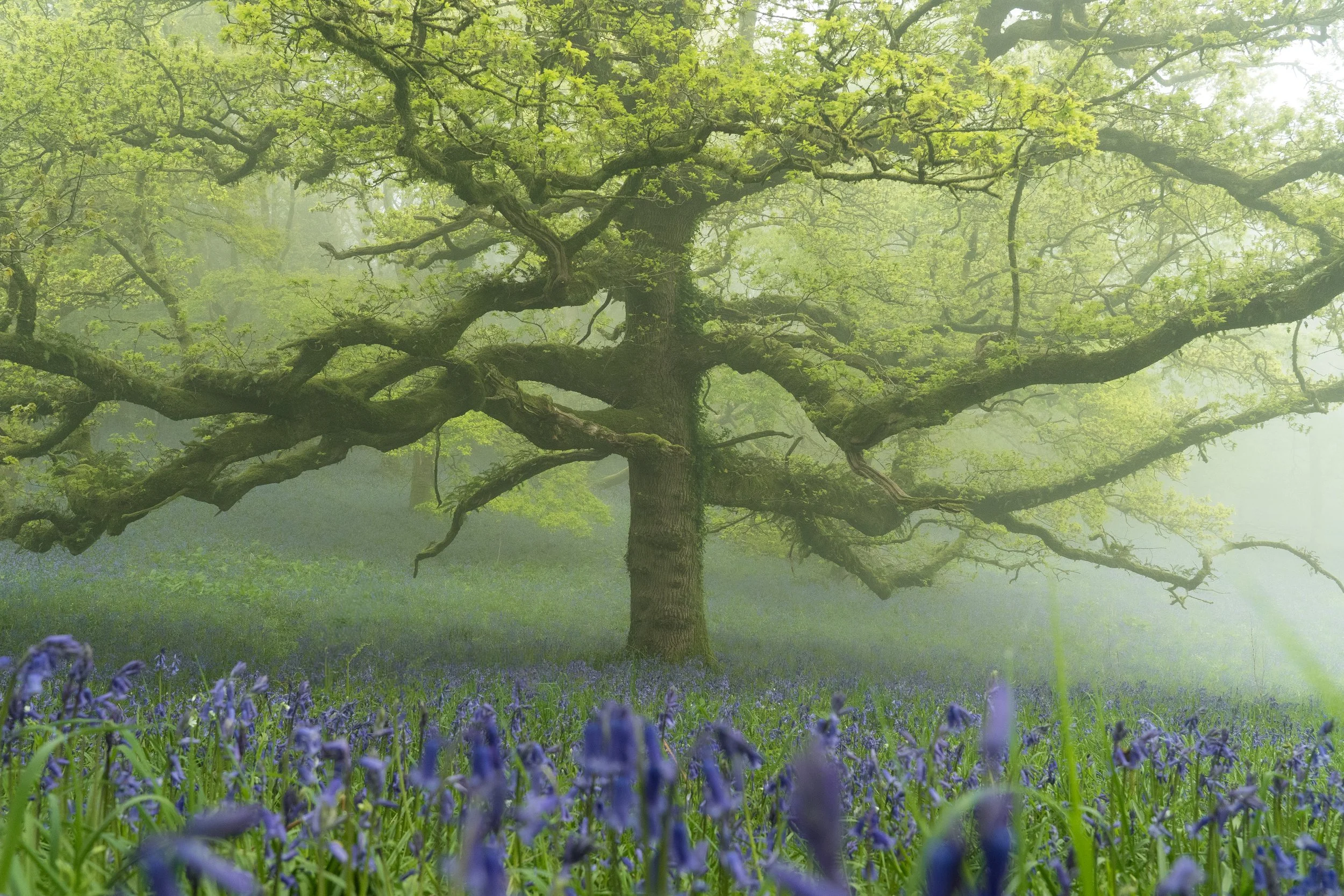 Portfolio Update -00939.jpg