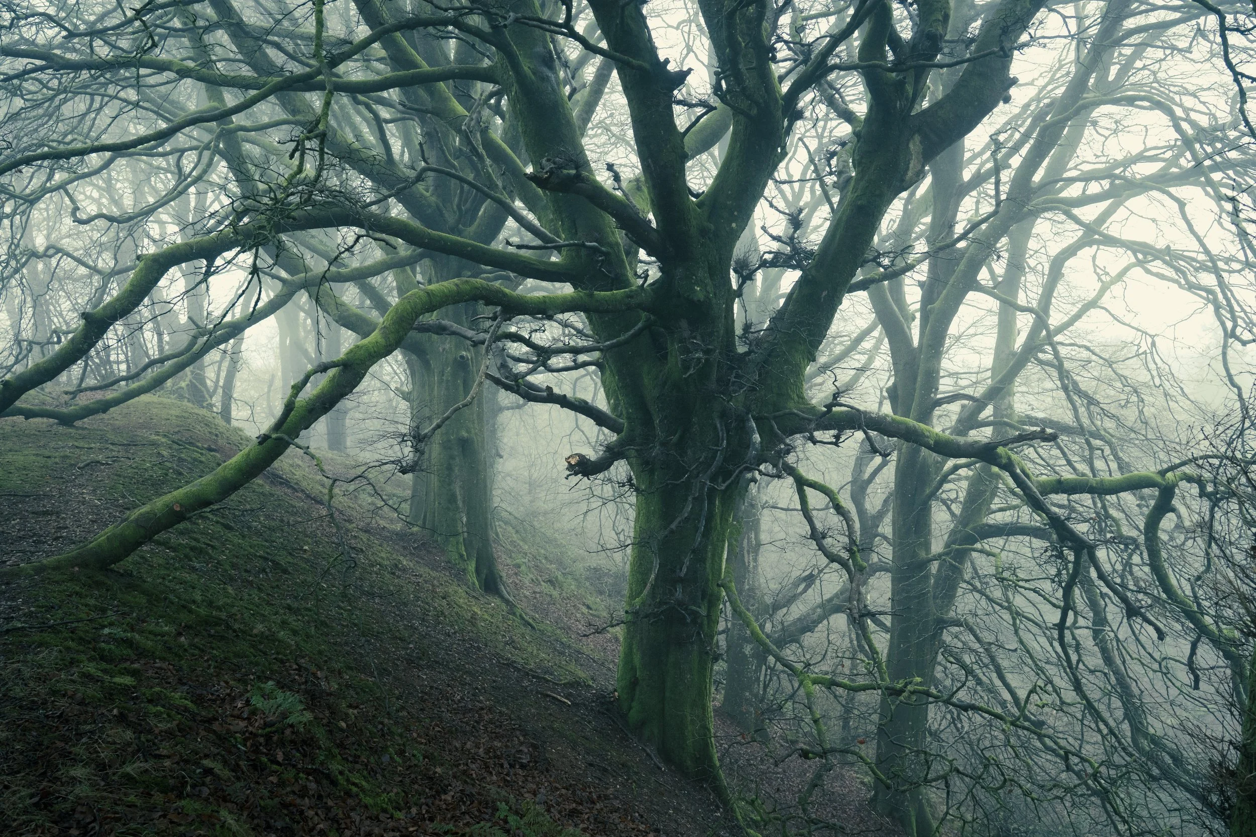 Portfolio Update -01049.jpg