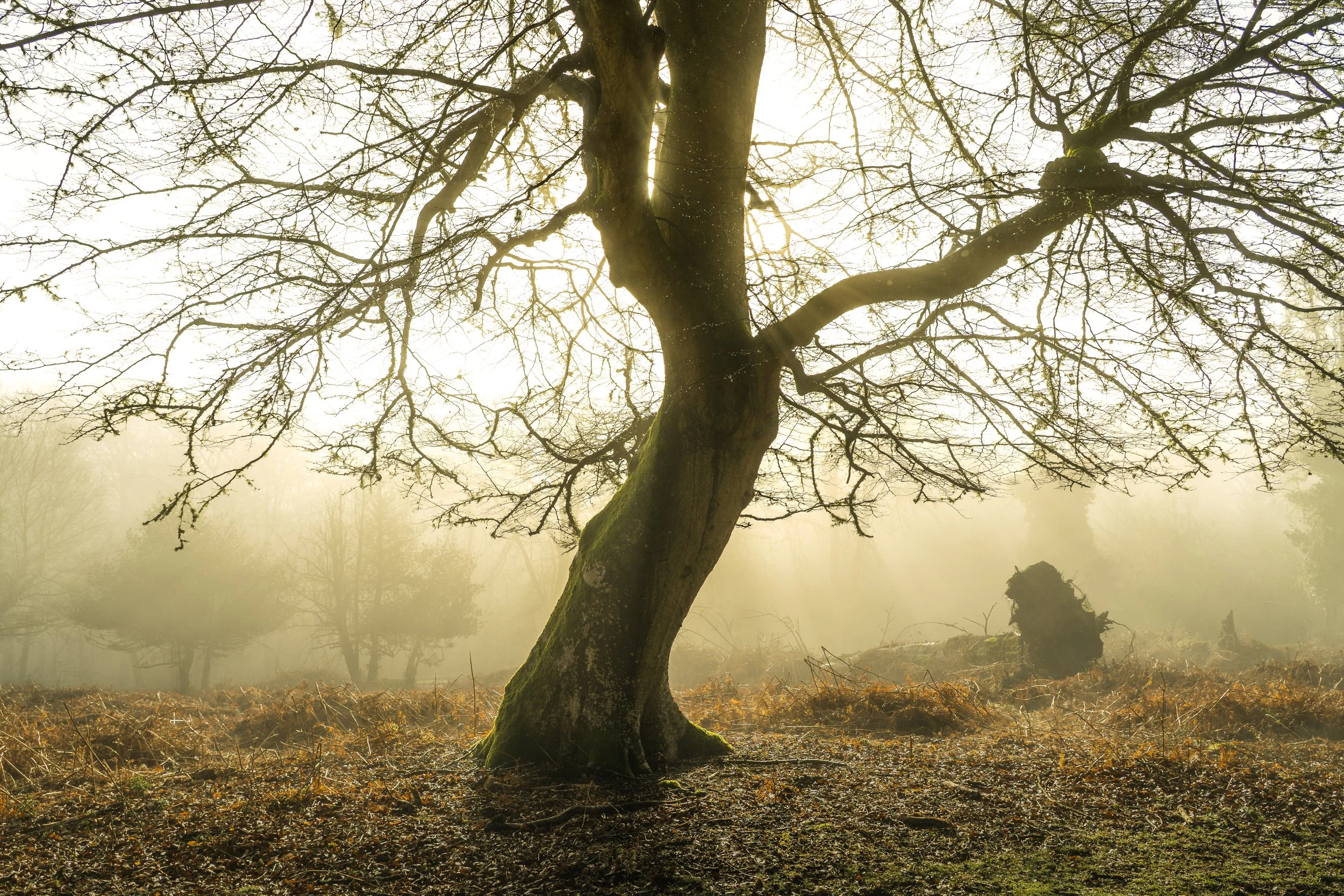 Portfolio Update -04039.jpg