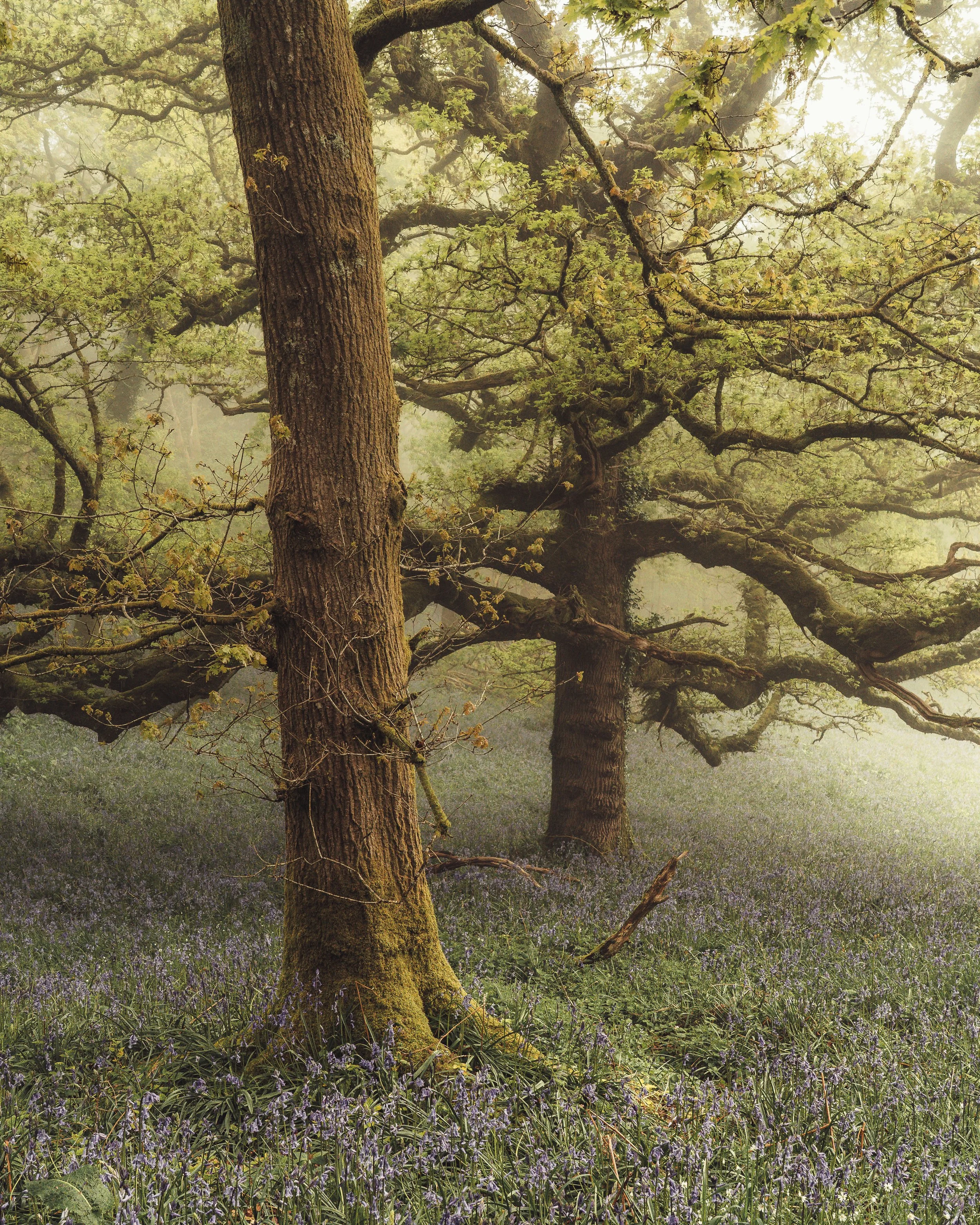 Portfolio Update -01001.jpg