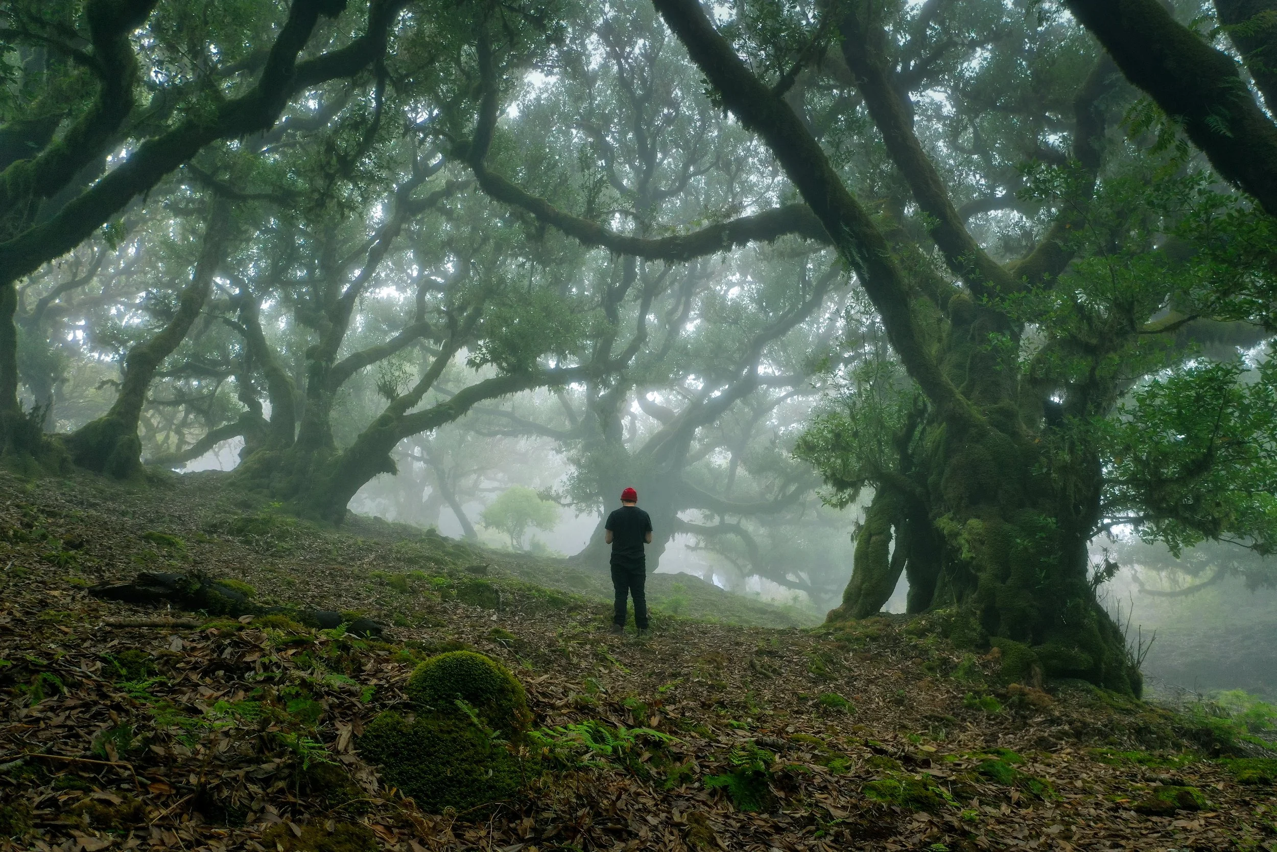 Portfolio Update -0876.jpg