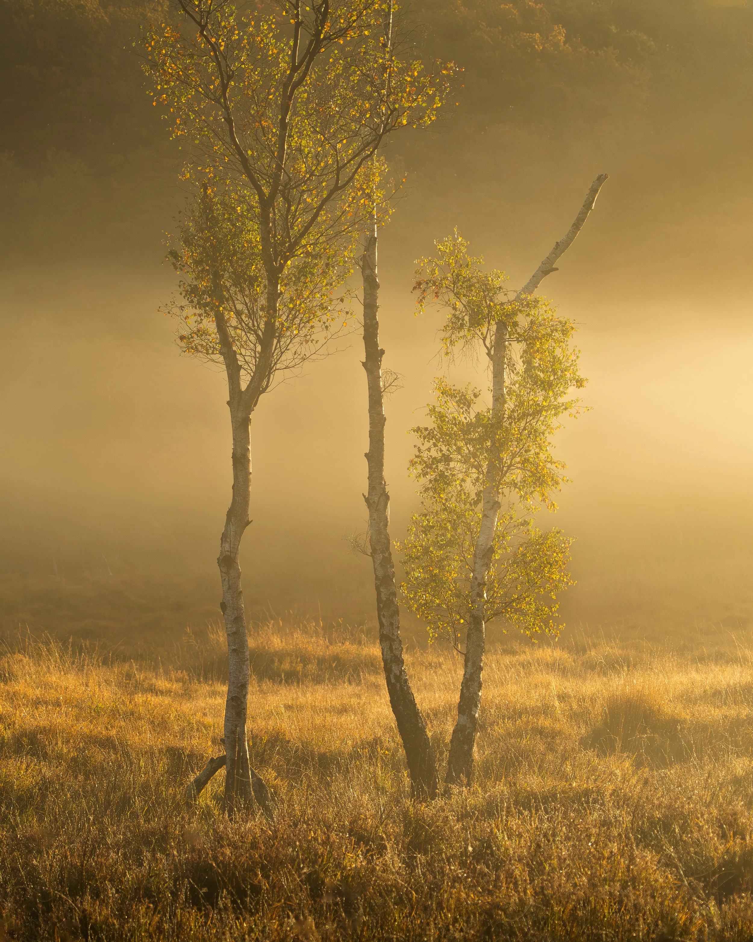 Portfolio Update -04629.jpg