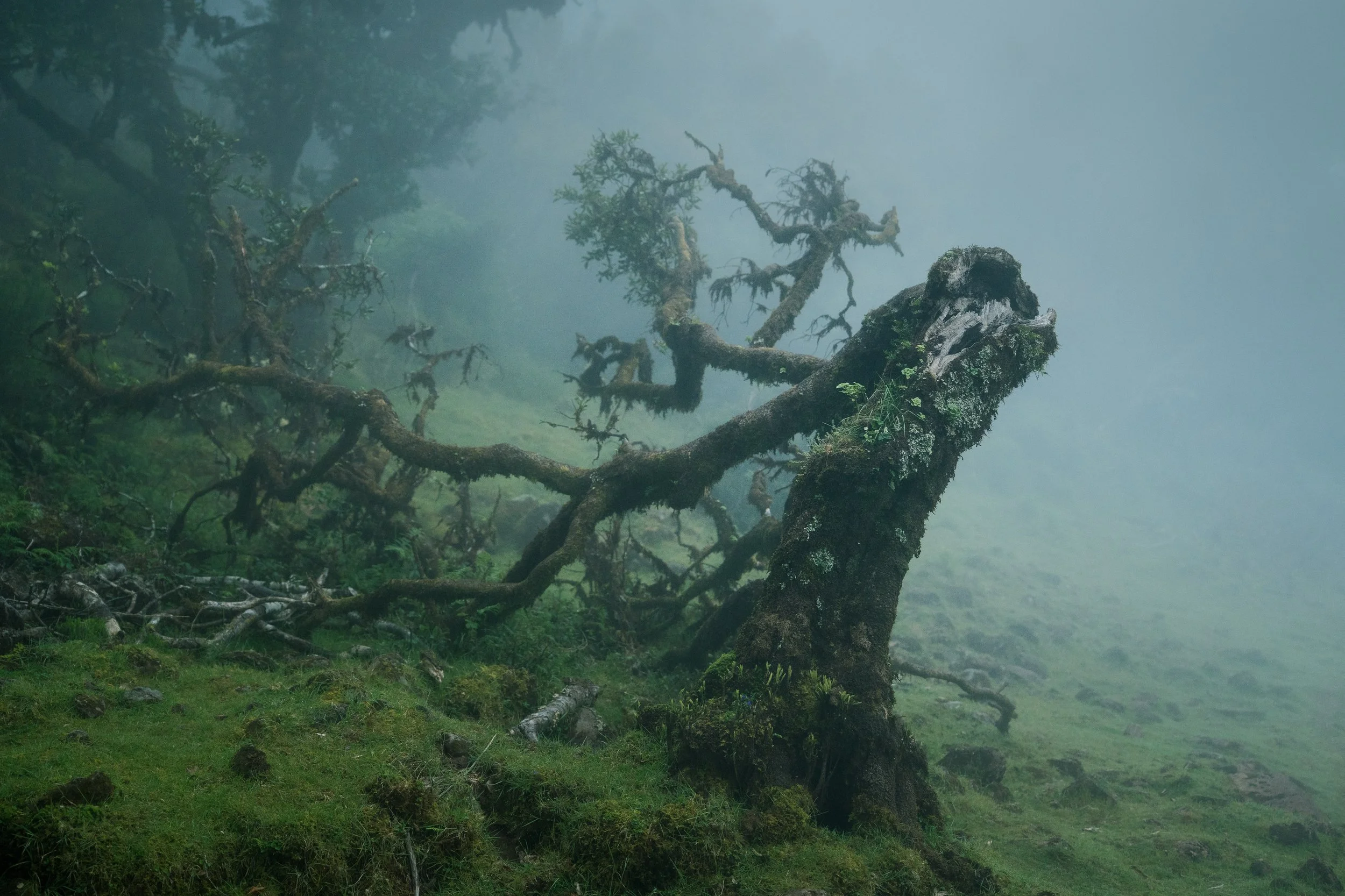 Portfolio Update -01929.jpg